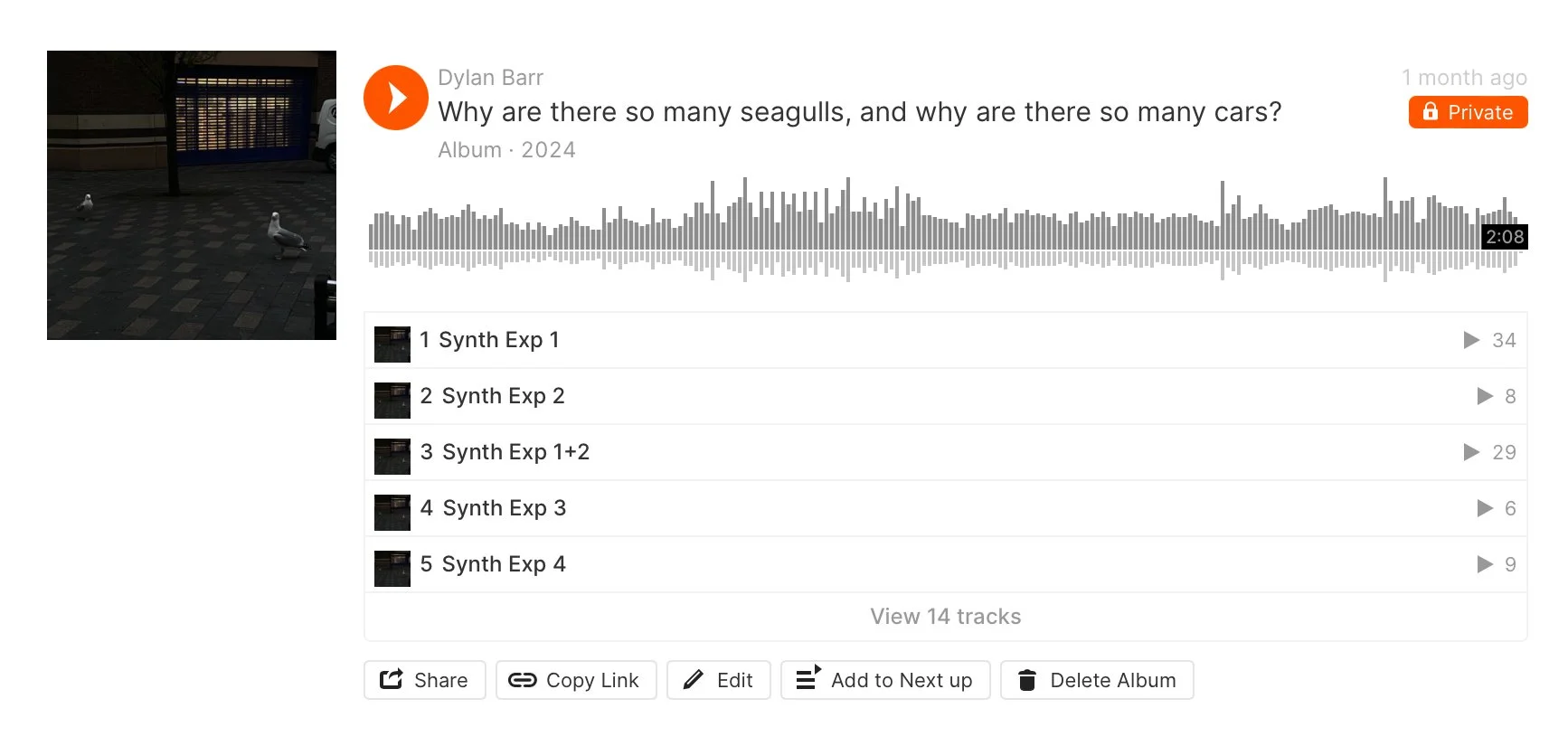 Why are there so many seagulls? and why are there so many cars?