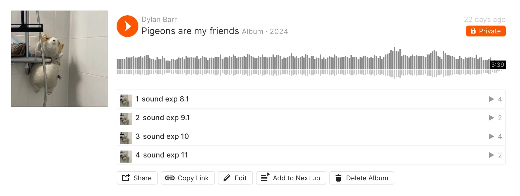 Pigeons are my friends (2024)