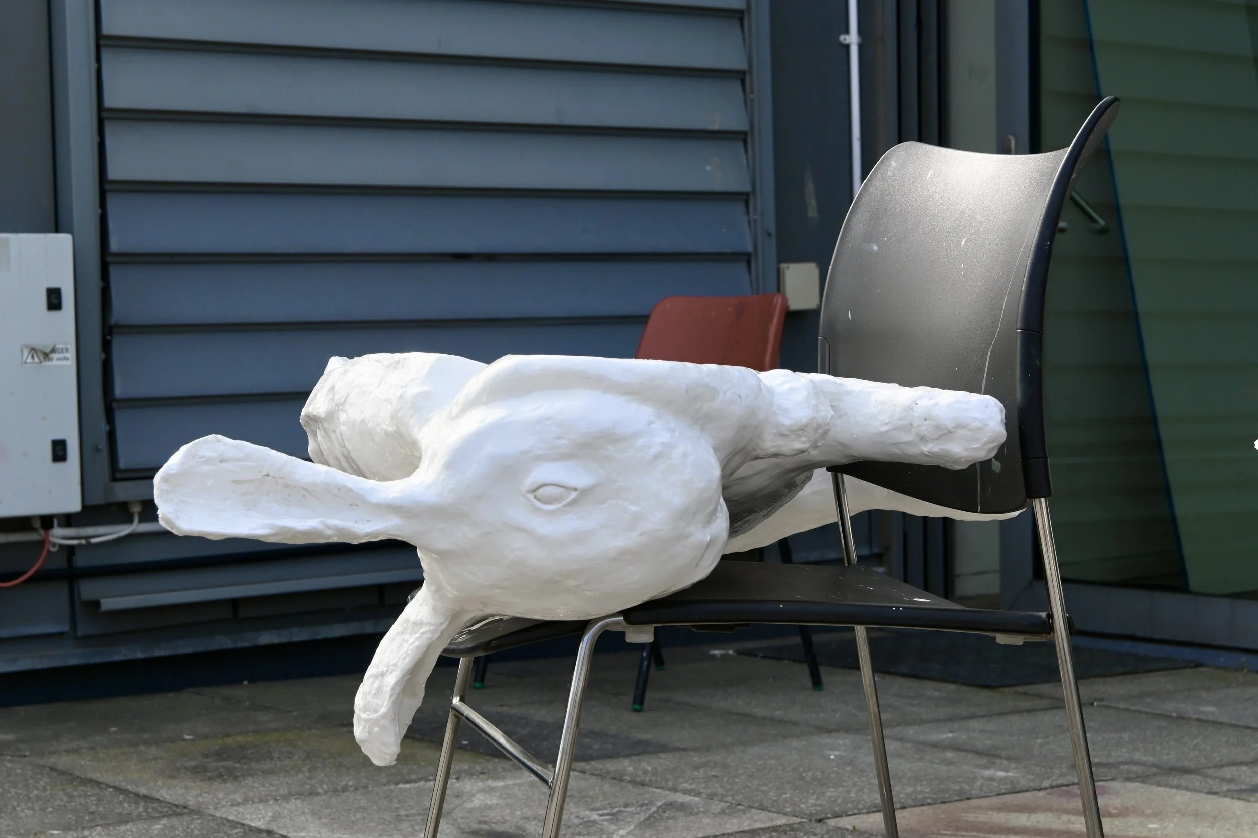 One Bunny is a Lonely Bunny - Project -  2025