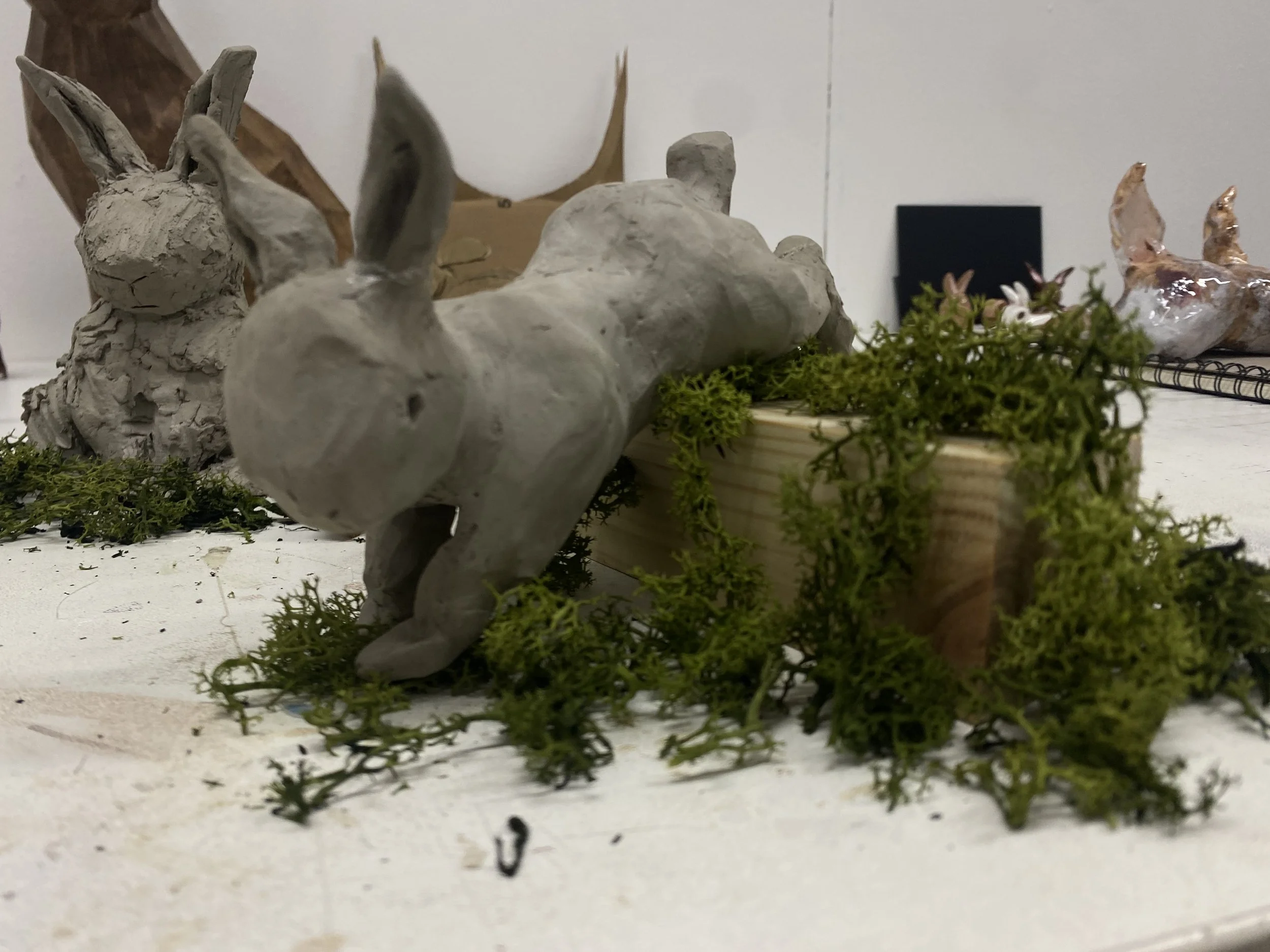 small rabbit experiments