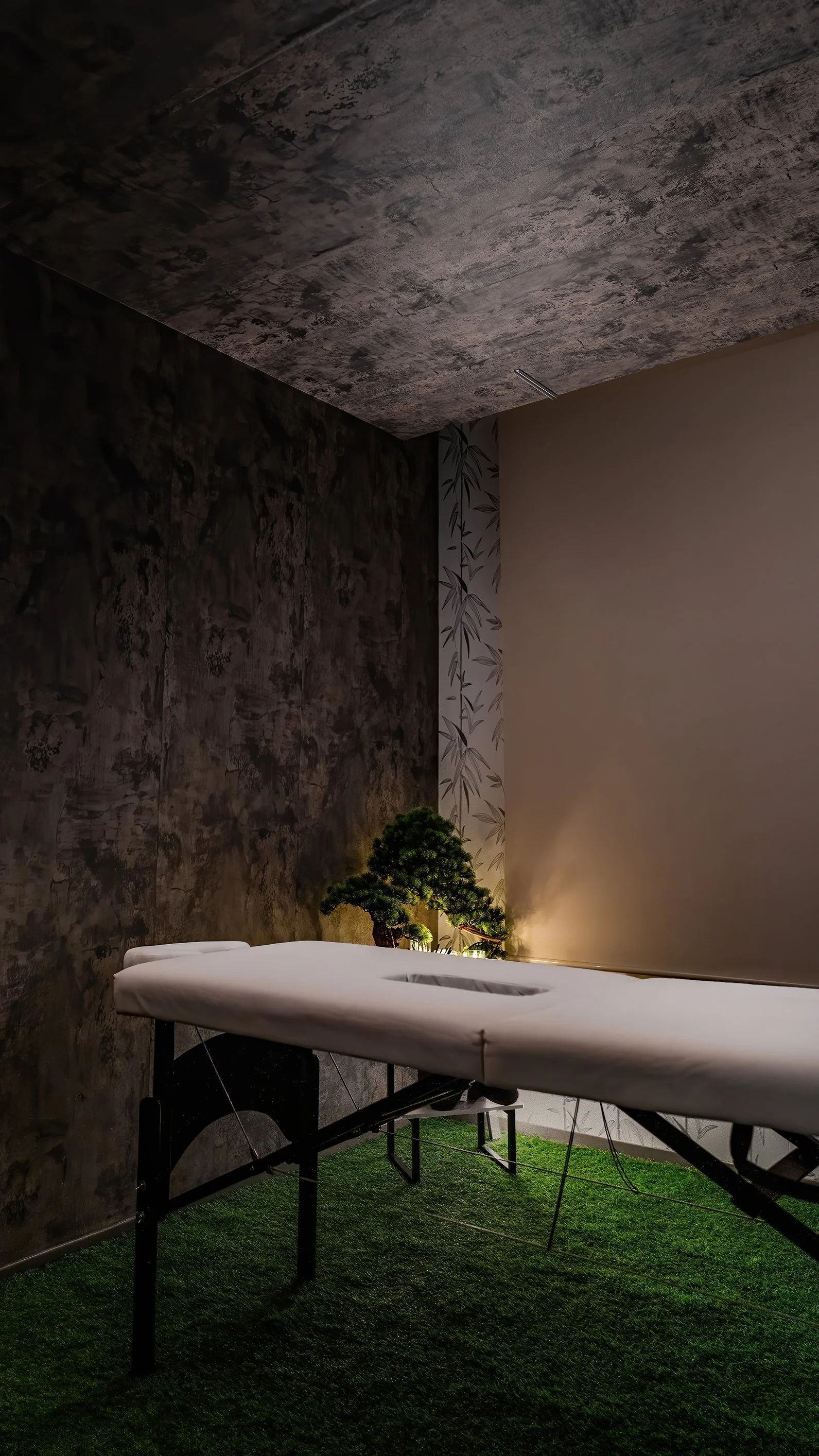 Zen-inspired spa treatment room in Mexico with bonsai tree and massage table.
