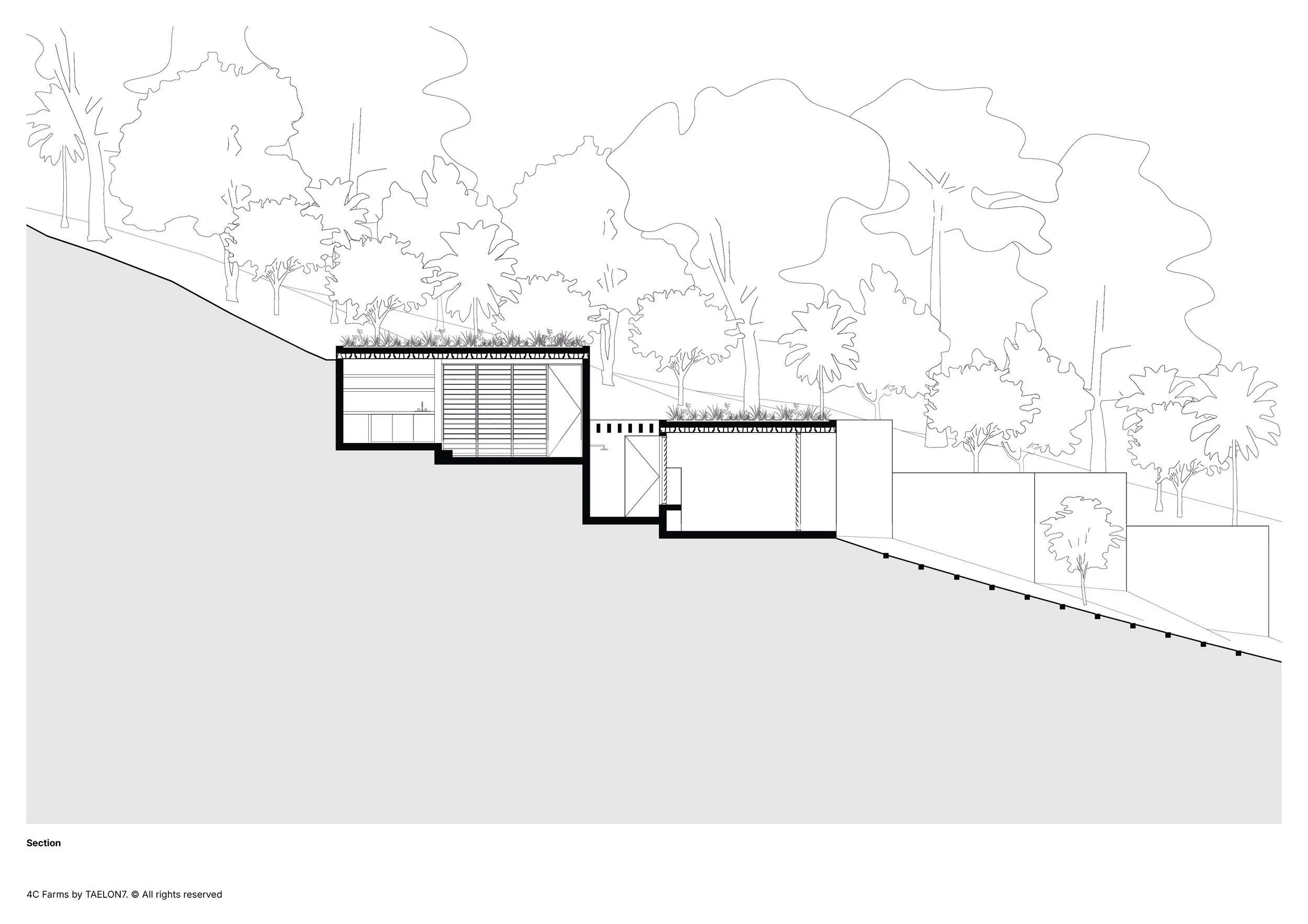 4C Farms by TAELON7_05_Site Section.jpg