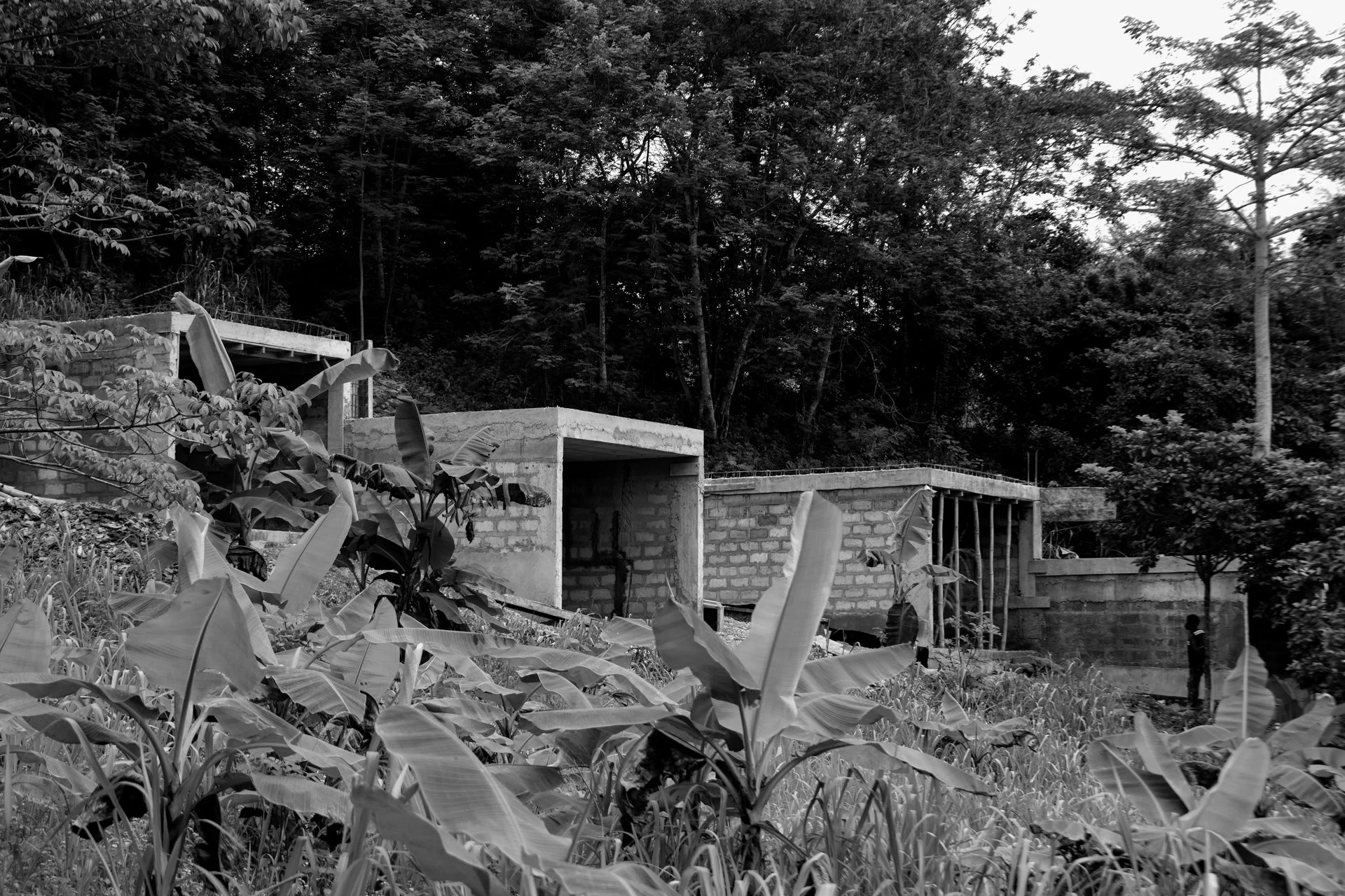 4C Farms by TAELON7_WIP_bw03_(c) Isaac Gyamfi A_LD.jpg