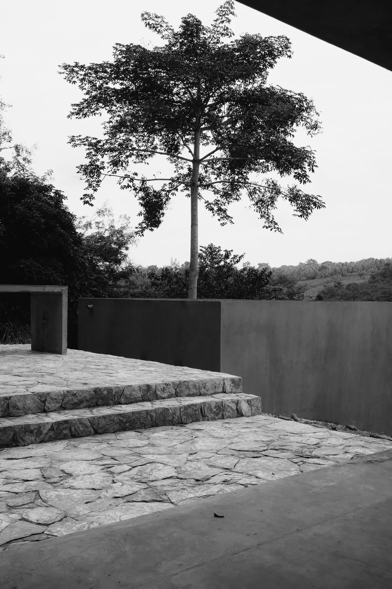 DSCF9265_bw1920px.jpg
