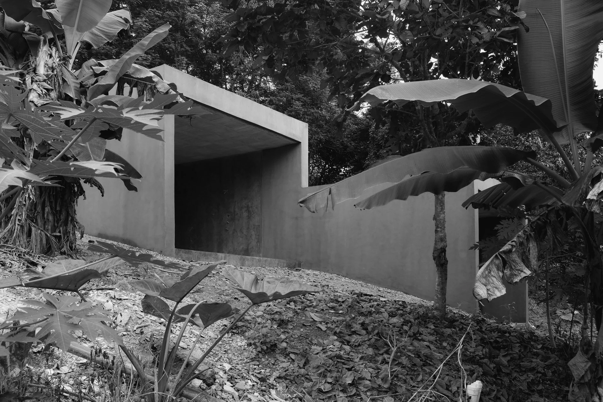 DSCF9285_bw1920px.jpg