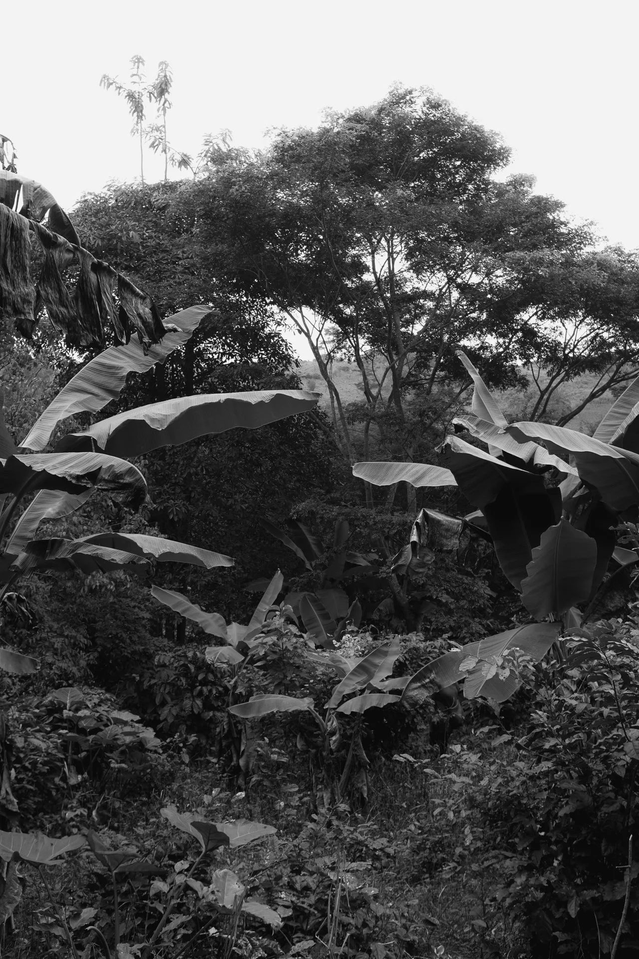DSCF9296_bw1920px.jpg