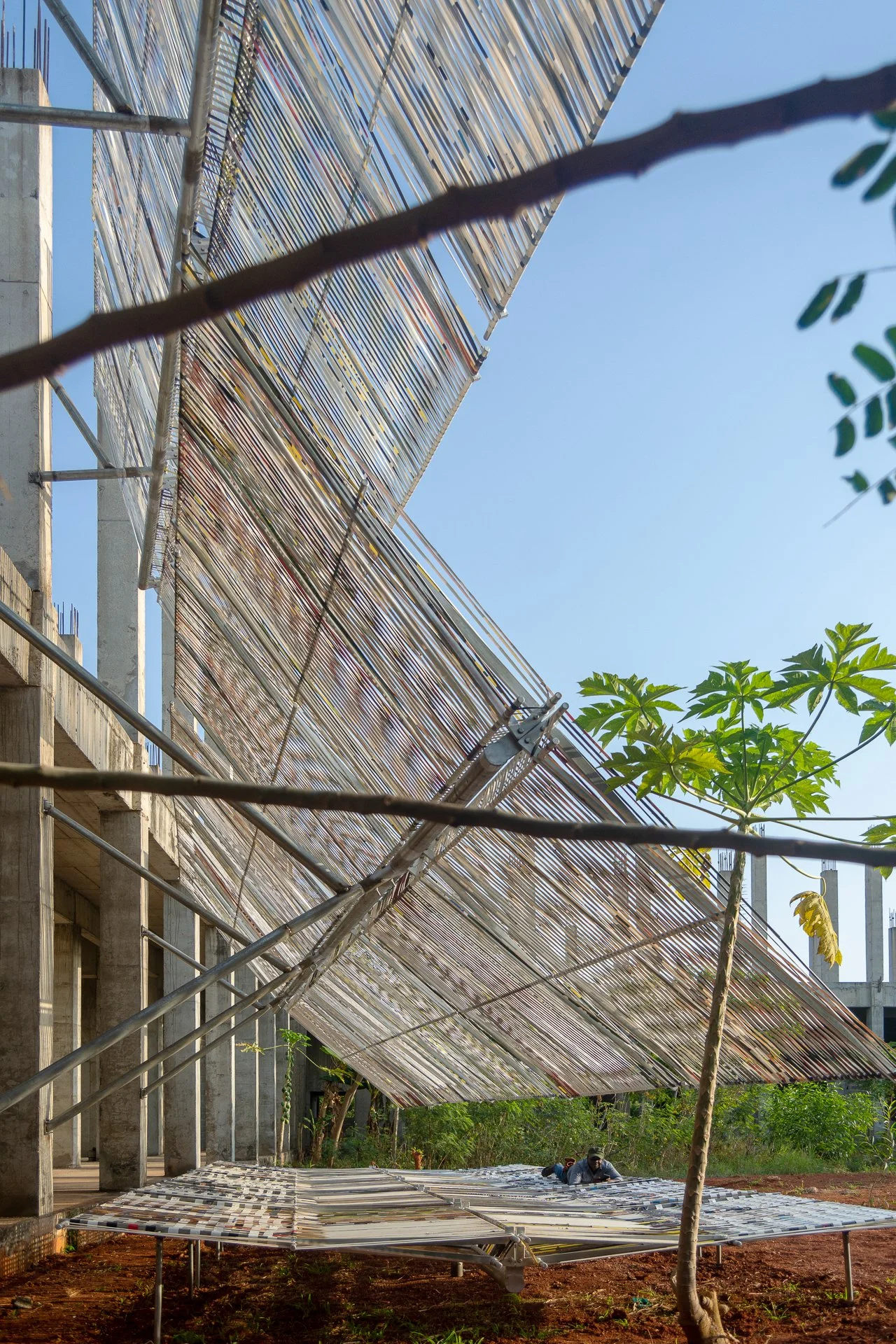 Limbo Engawa by TAELON7_02_(c) Edem Tamakloe_LD.jpg