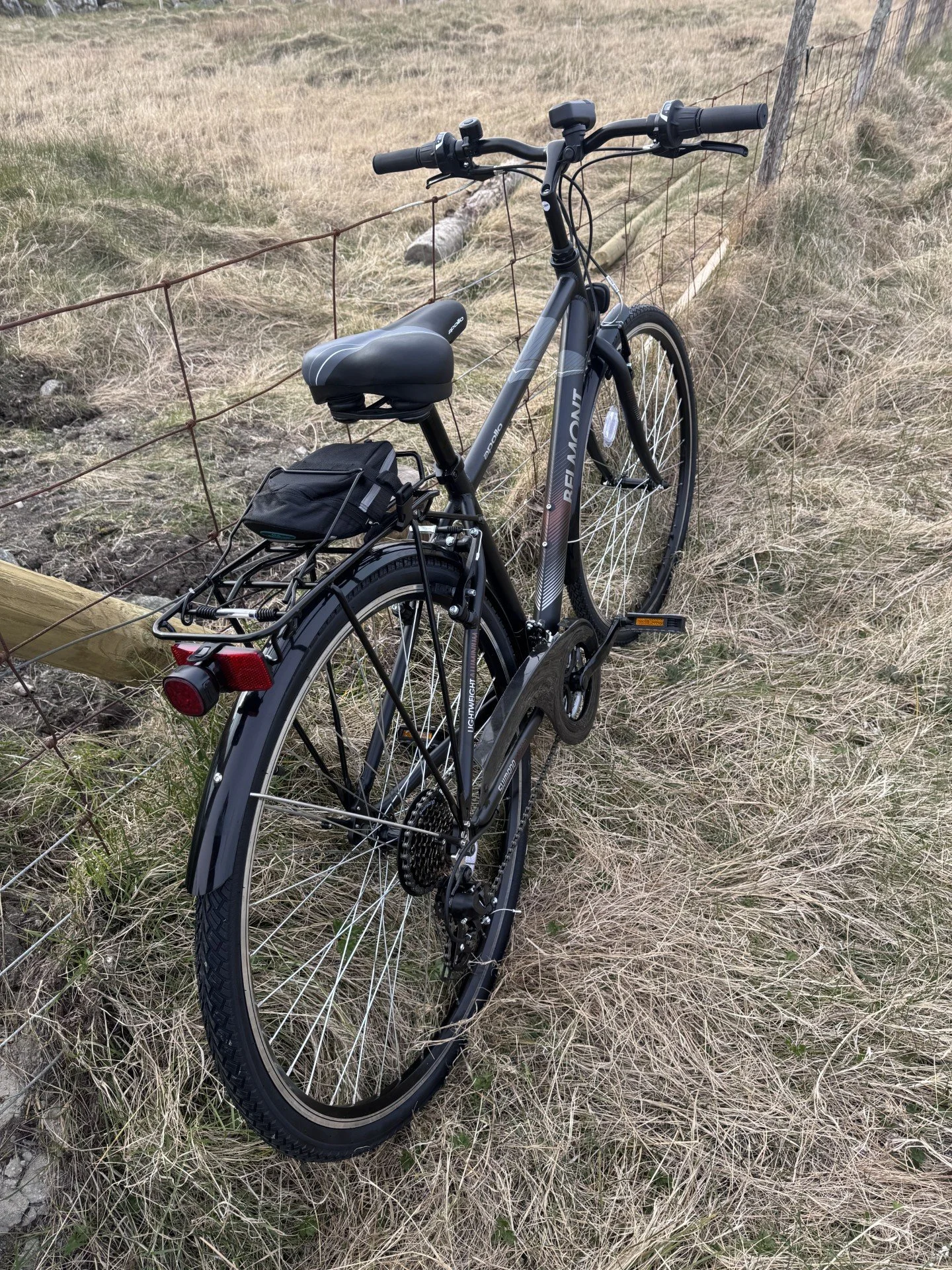 bike 2.jpg