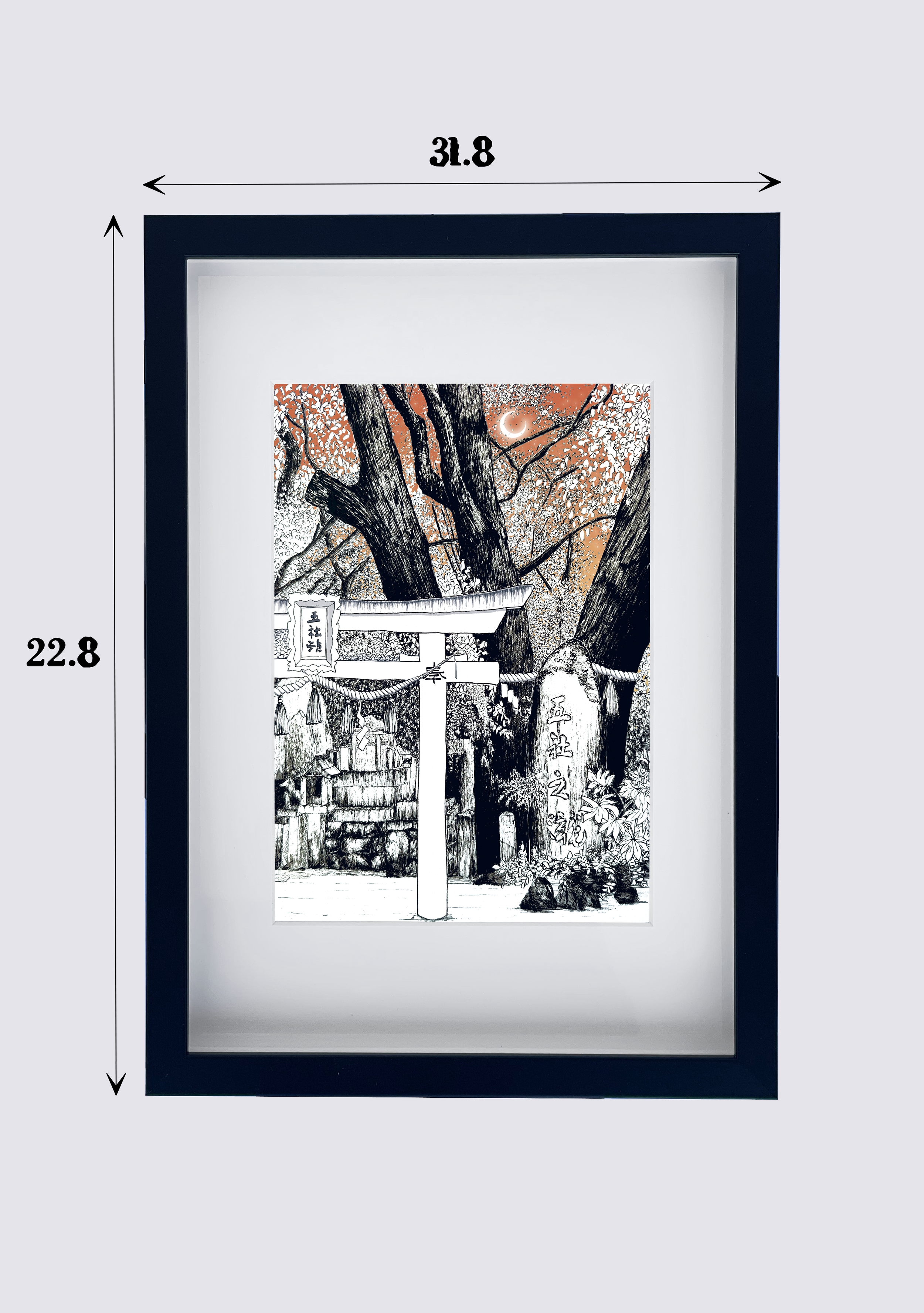 DIMENTIONS CADRE KYOTO 2.png