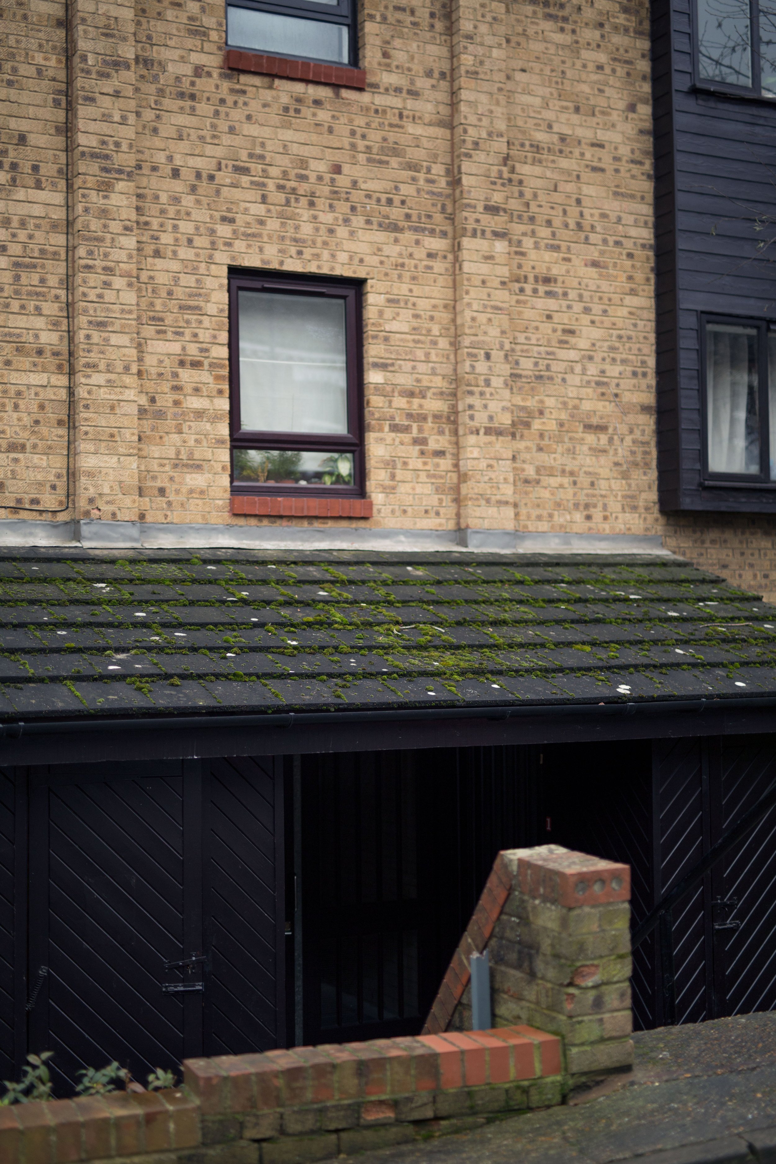 Three Women Falling ©Izabella Tulip-Parkin Photography.jpeg