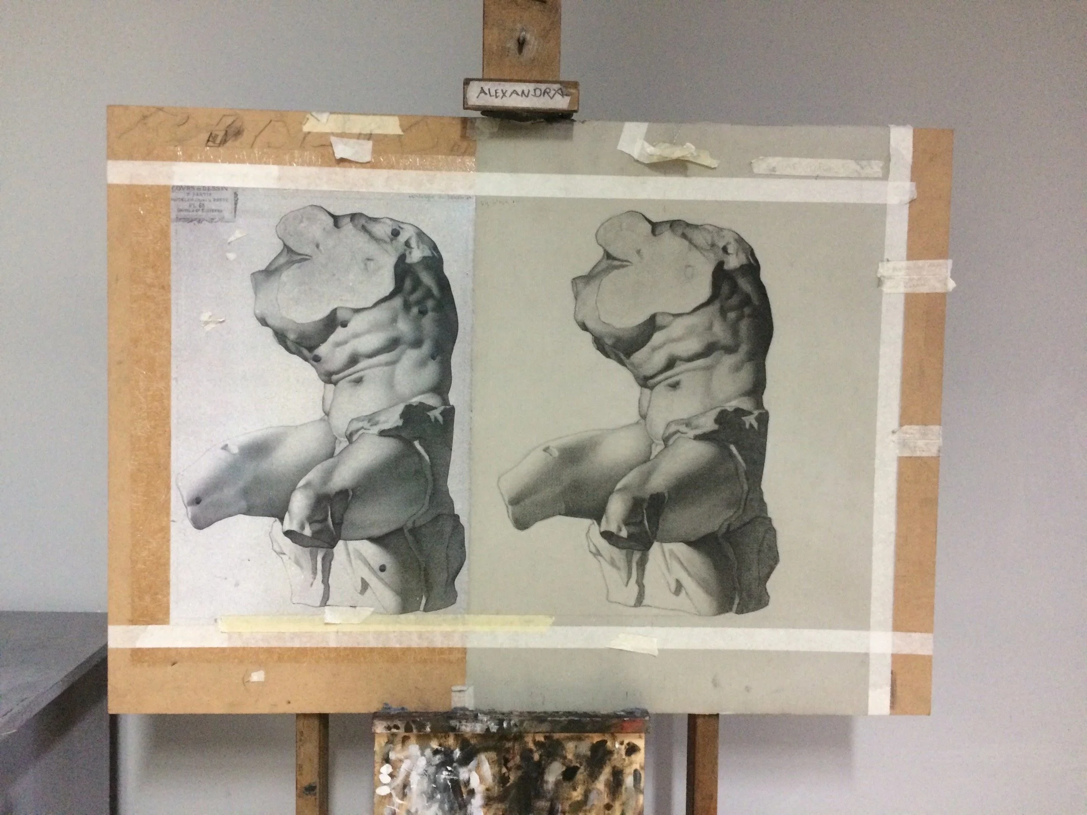 Belvedere cast drawing 