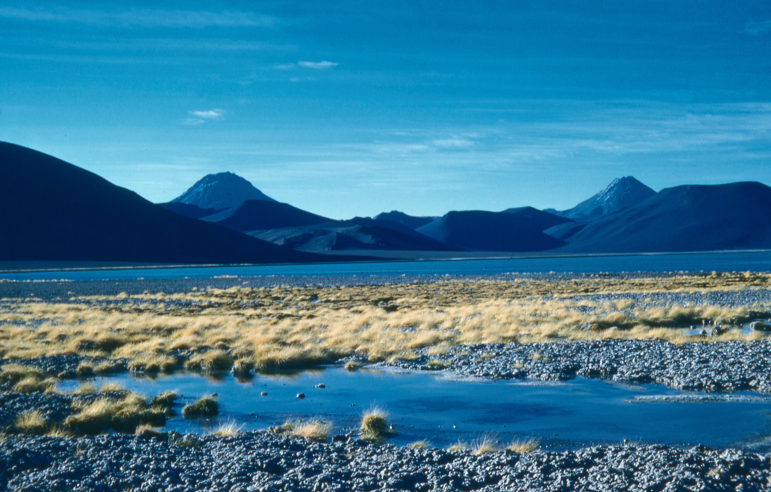Tatio-pasaje matinal 1- 1973.jpg