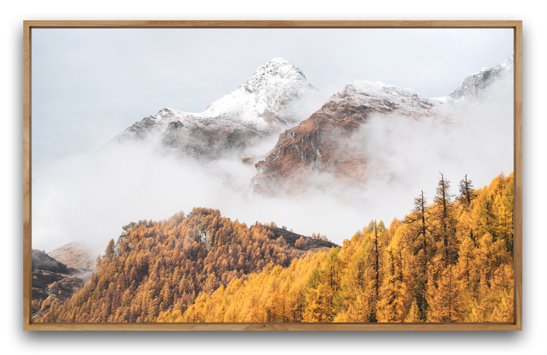 Piz Lunghin im Engadin im Herbst. Landschaftsbild. Berglandschaft mit schneebedecktem Gipfel und gelb-orange gefärbtem Herbstwald im Vordergrund, umgeben von Nebel.