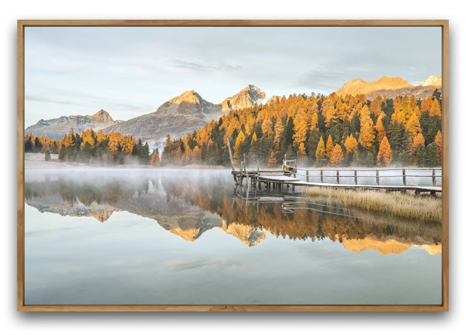 Bild vom Stazersee im Herbst in Engadin St. Moritz, Graubünden, Schweiz. Herbstlandschaft mit einem See, umgeben von goldigen Lärchen mit orangefarbenem Laub, einem hölzernen Steg und Bergen im Hintergrund.