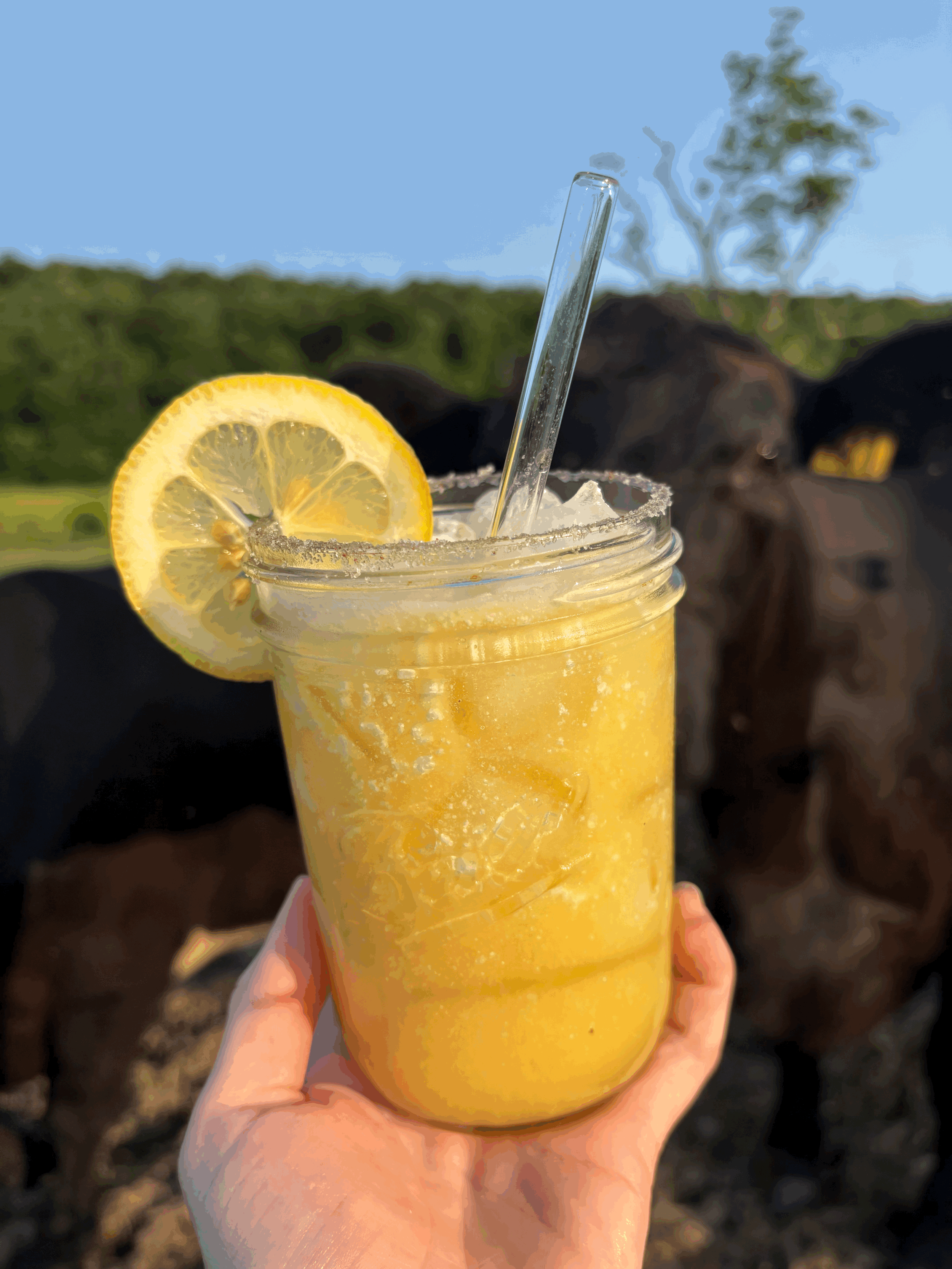 Cowgirl Core Cocktail (non-alcoholic)