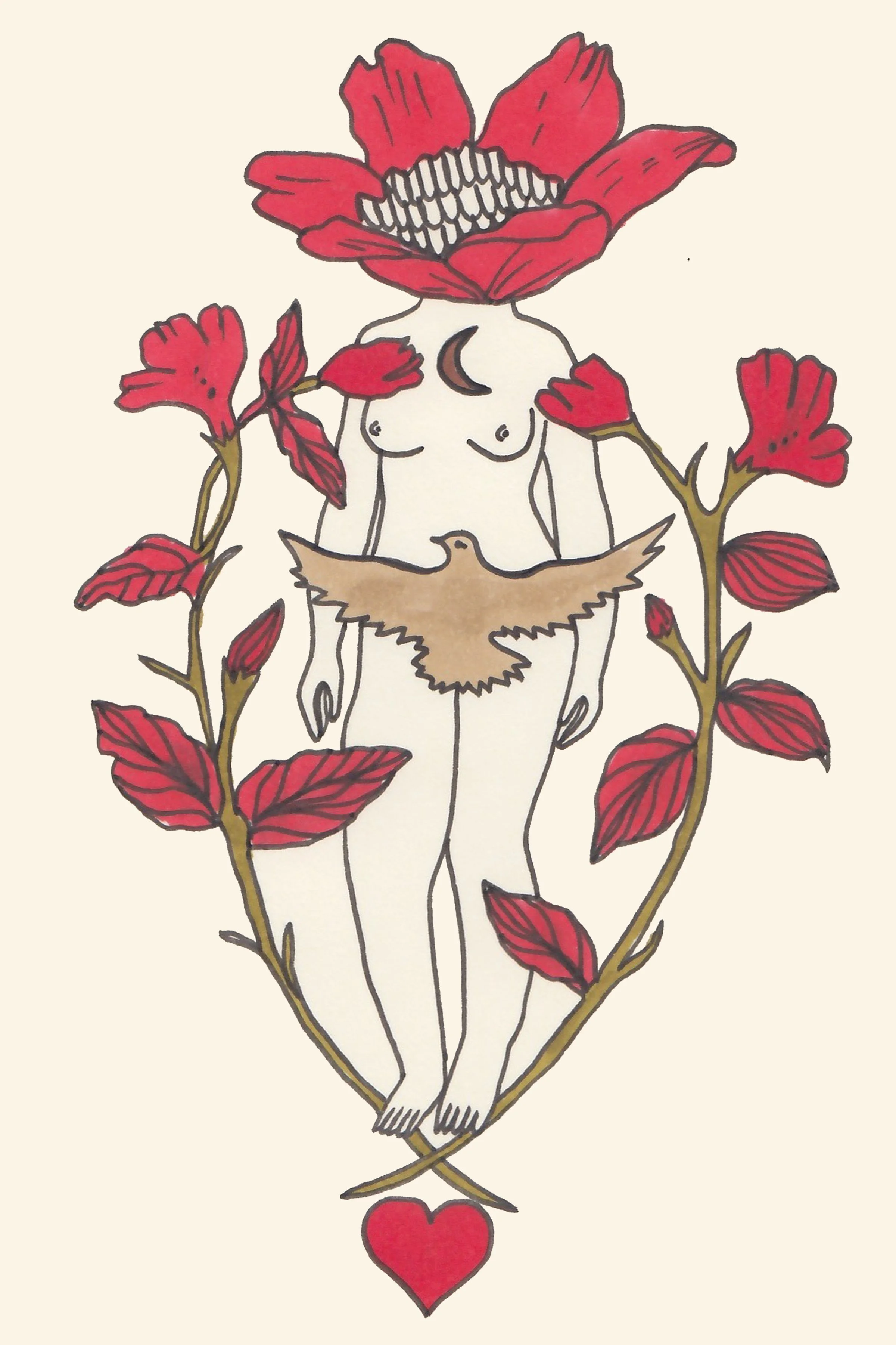 bird.jpg