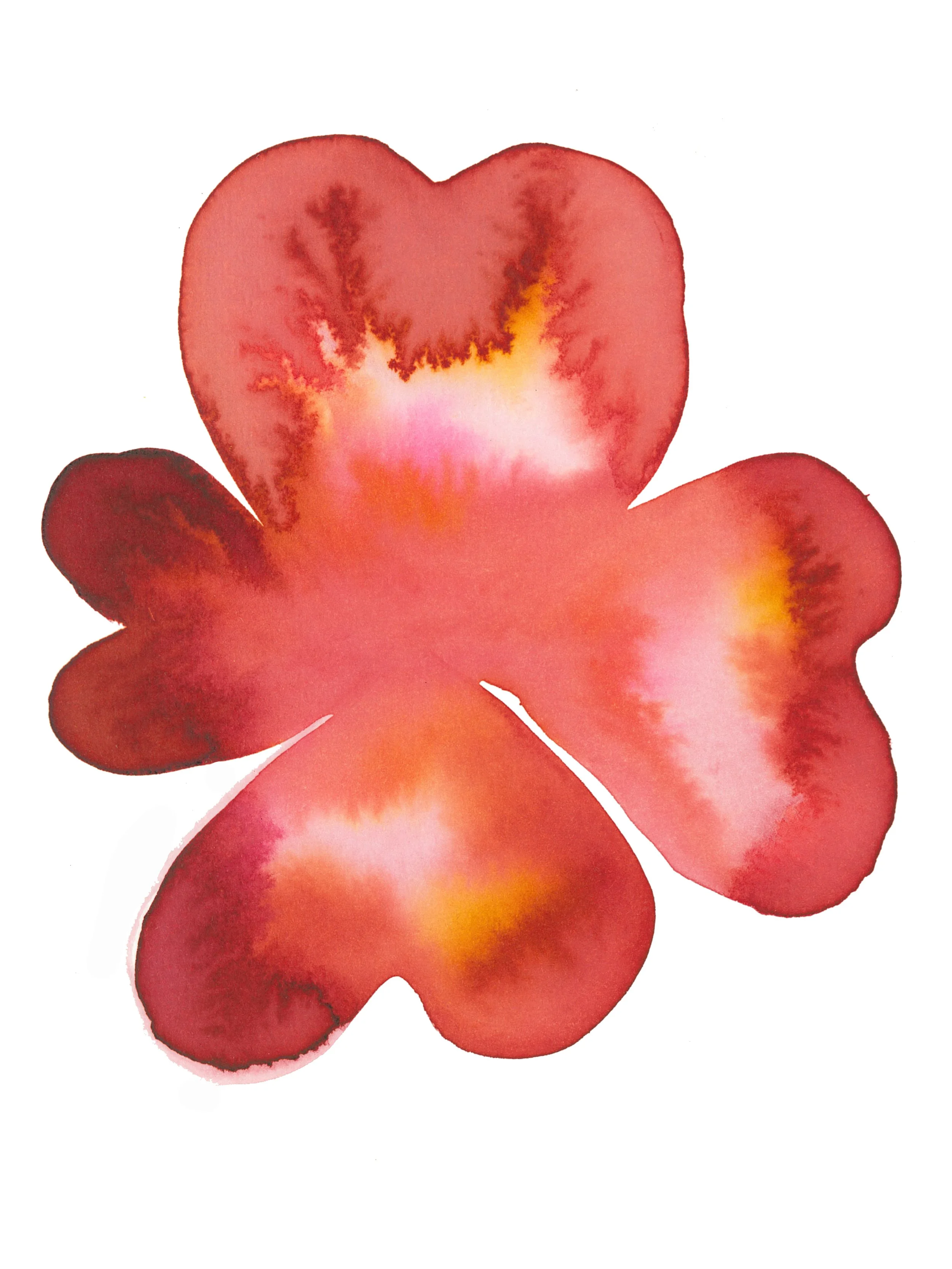 Glyph, Flameflower 6x8, copy.jpg
