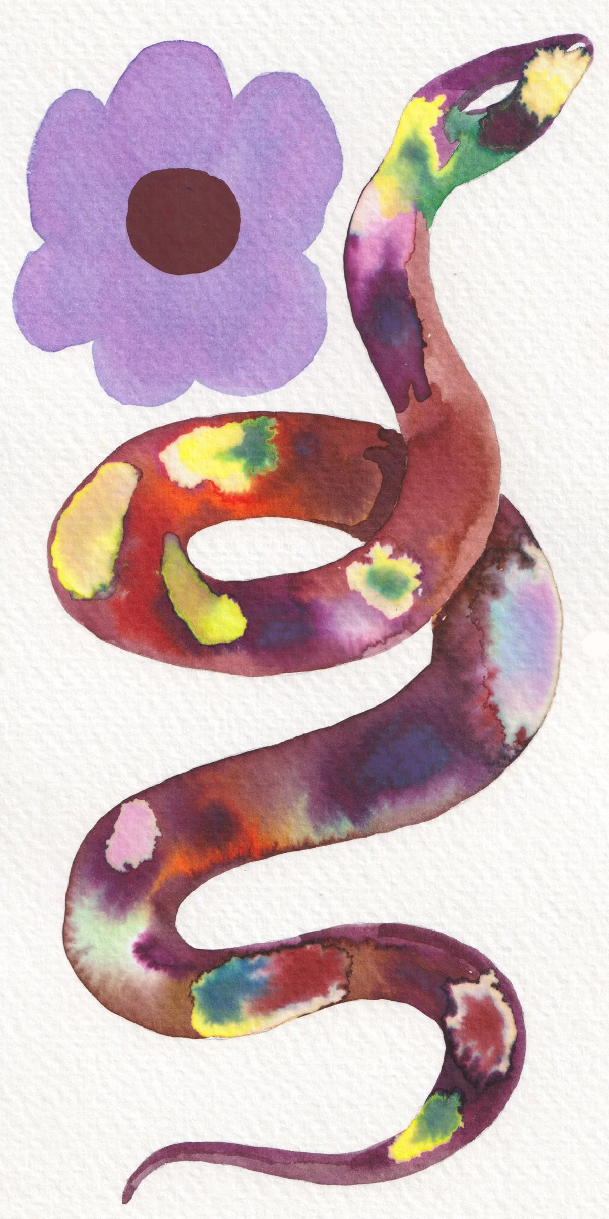 snake 1.jpg