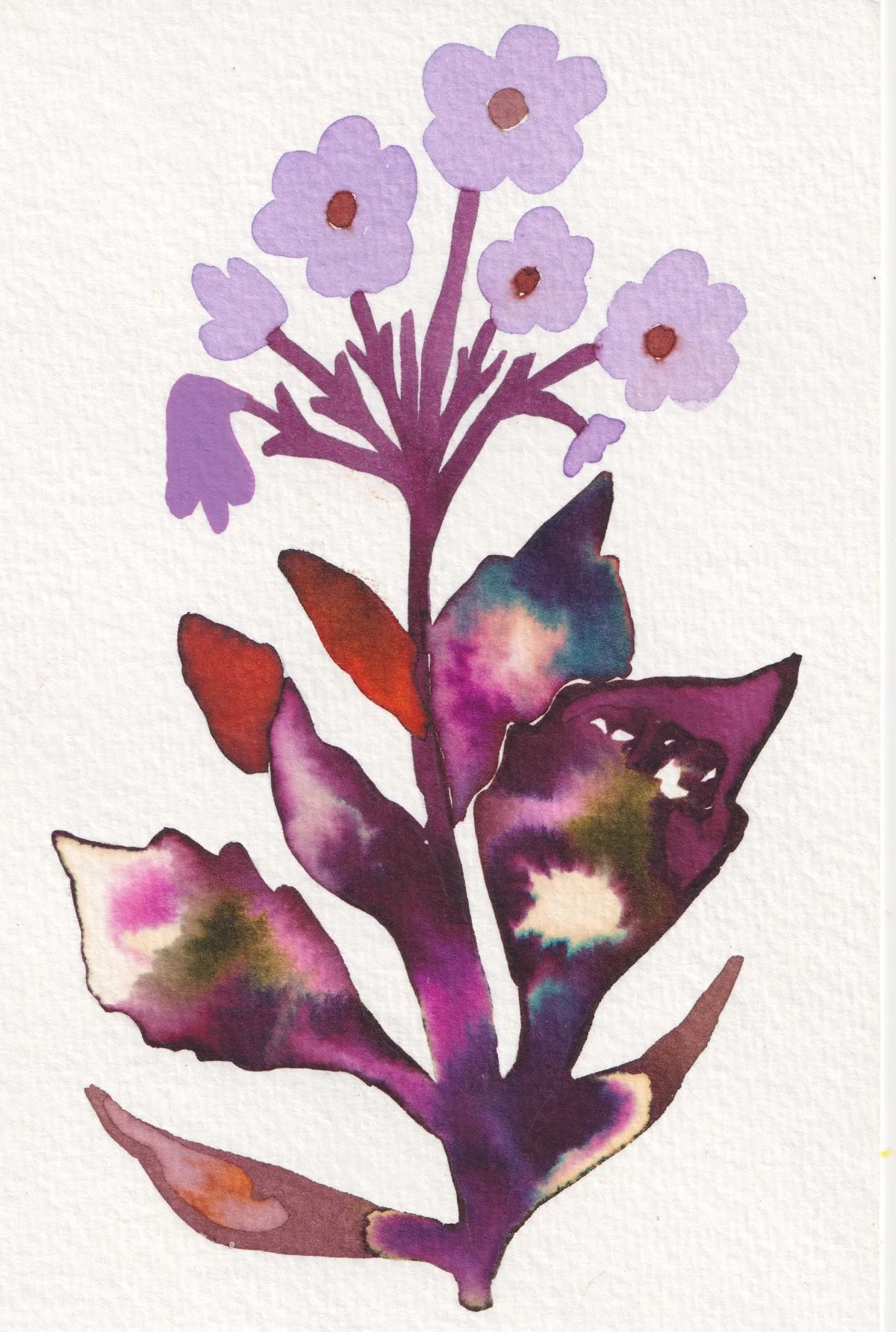 flower 1.jpg