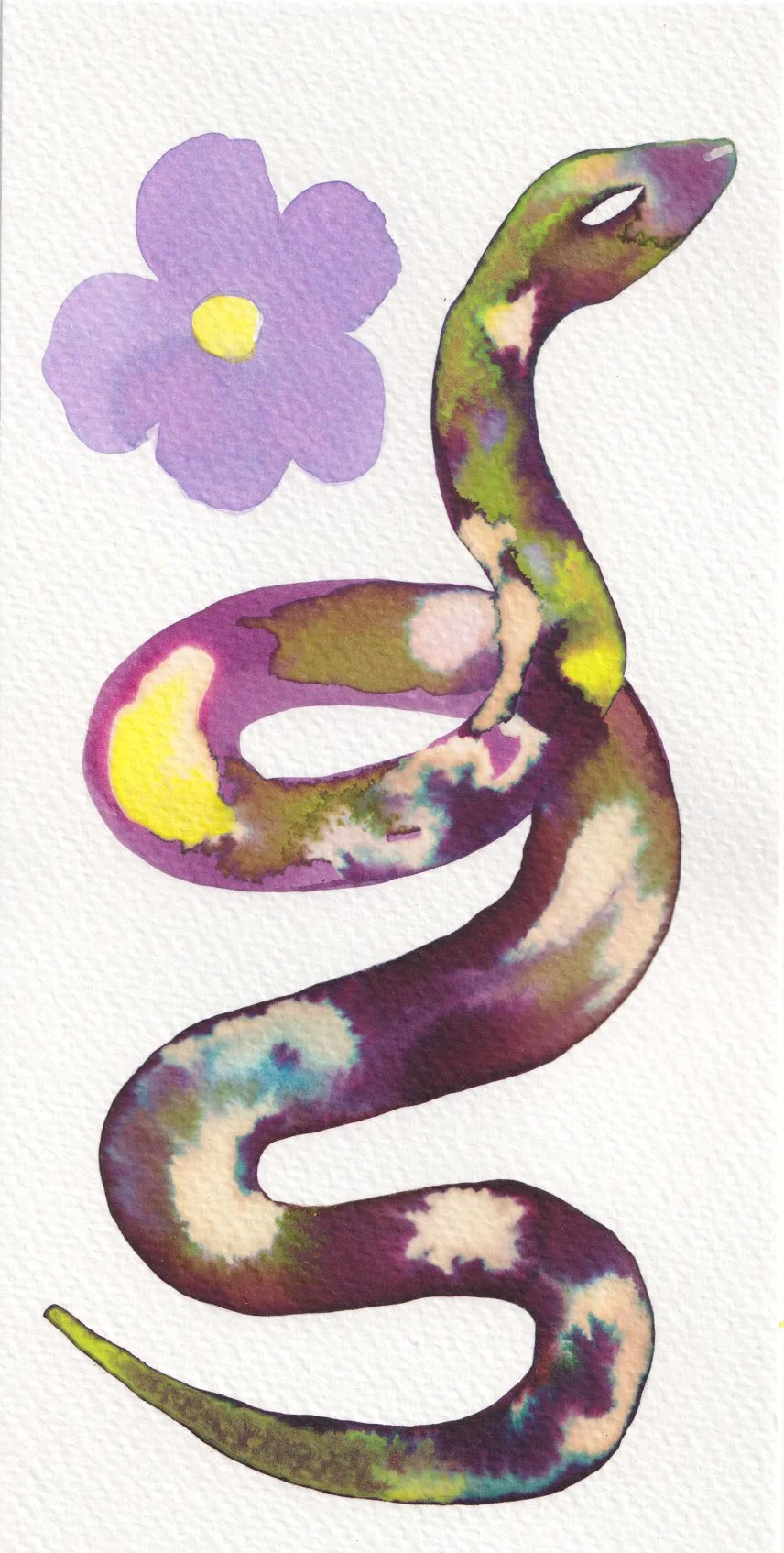 serpent.jpg
