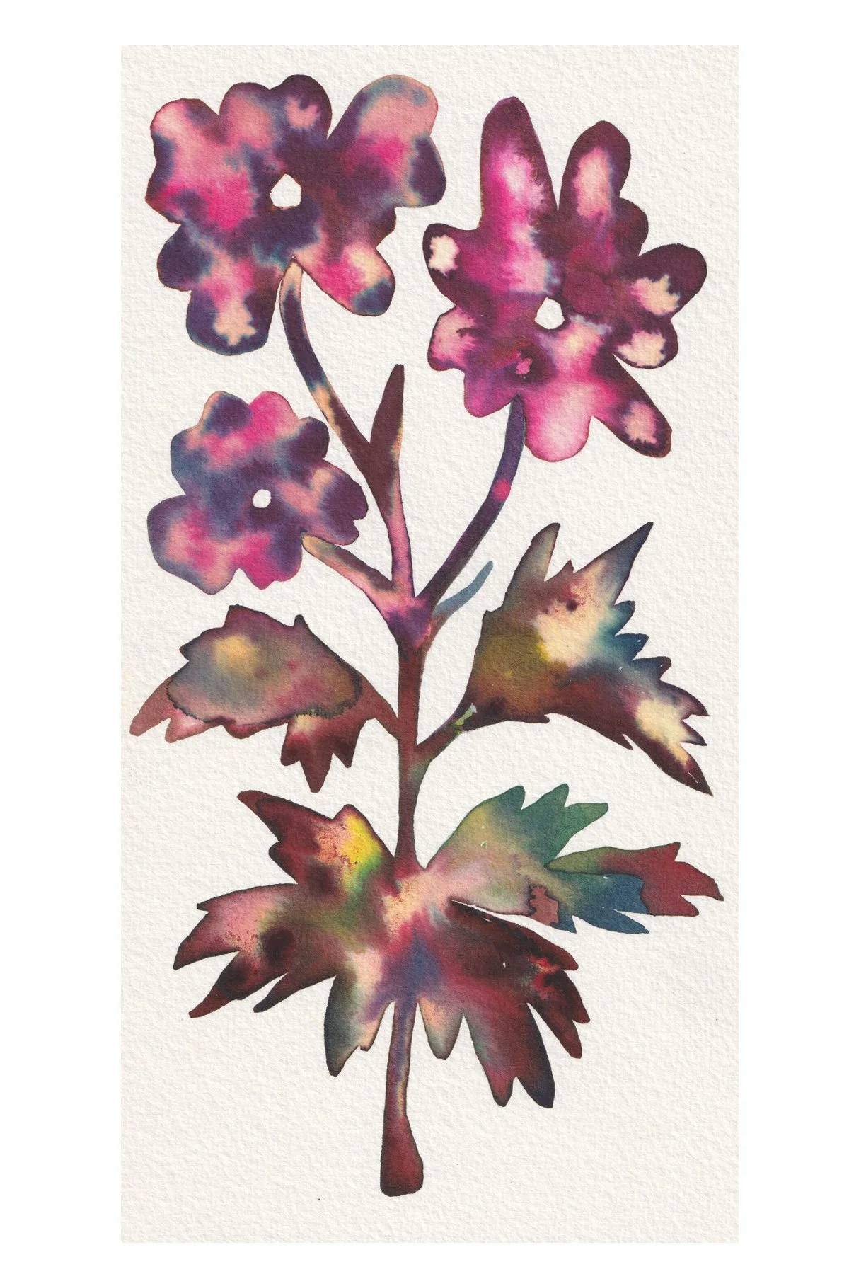 flor 1.jpg