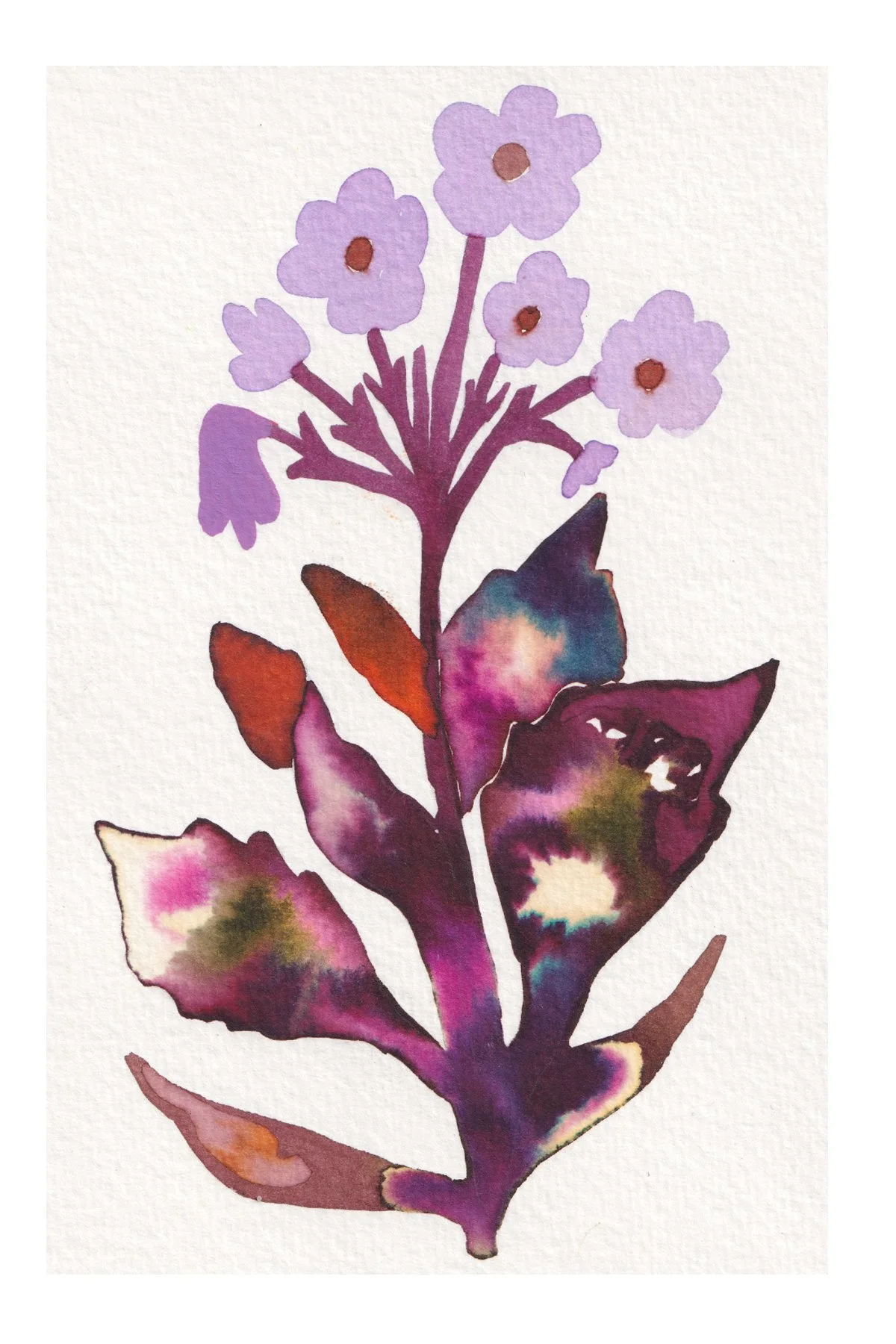 flore 3.jpg
