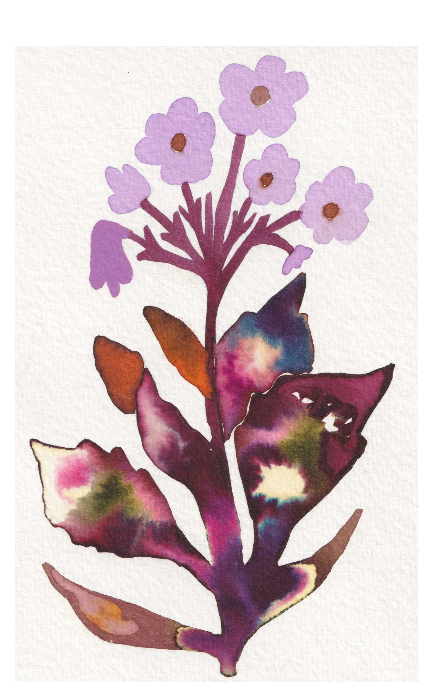 Strange Flower No.jpg