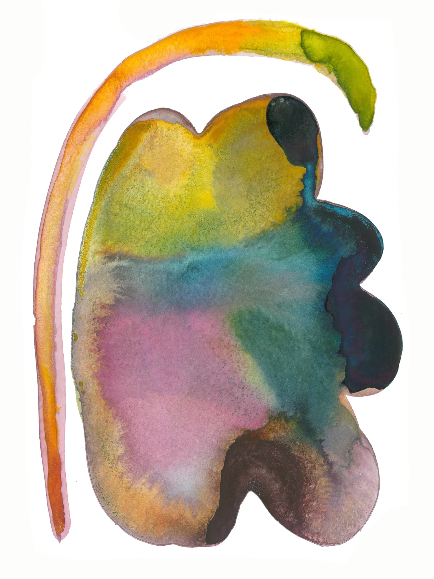 Glyph, The Origin Leaf 6x8.jpg