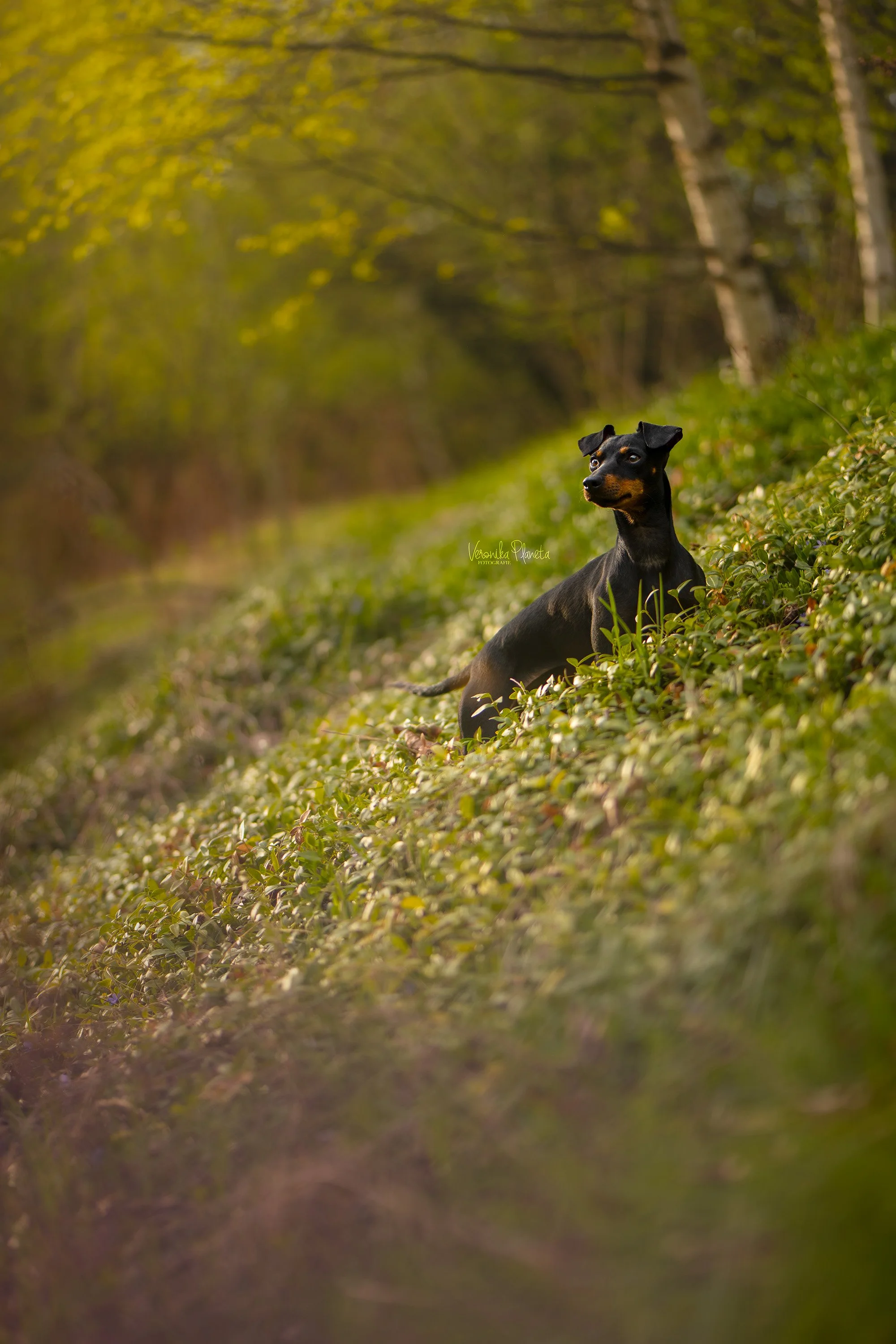 wm-P1051985-Edit.jpg