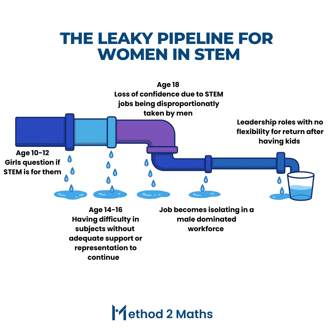 Leaky pipeline infographic