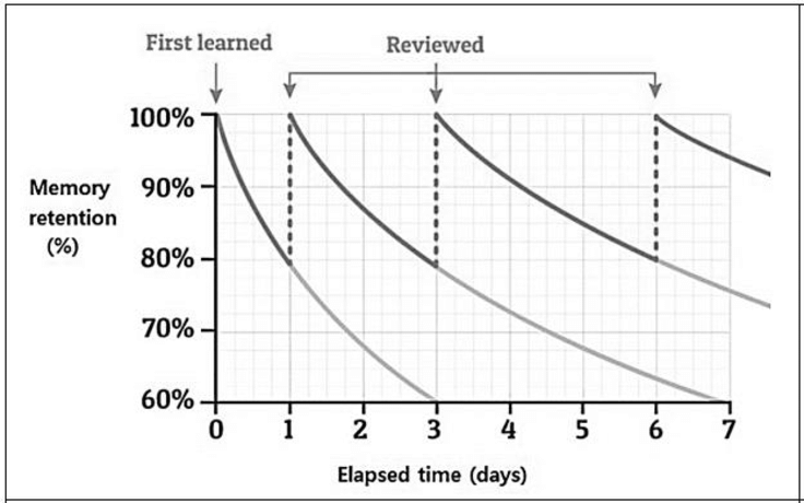Ebbinghaus forgetting curve and review cycle