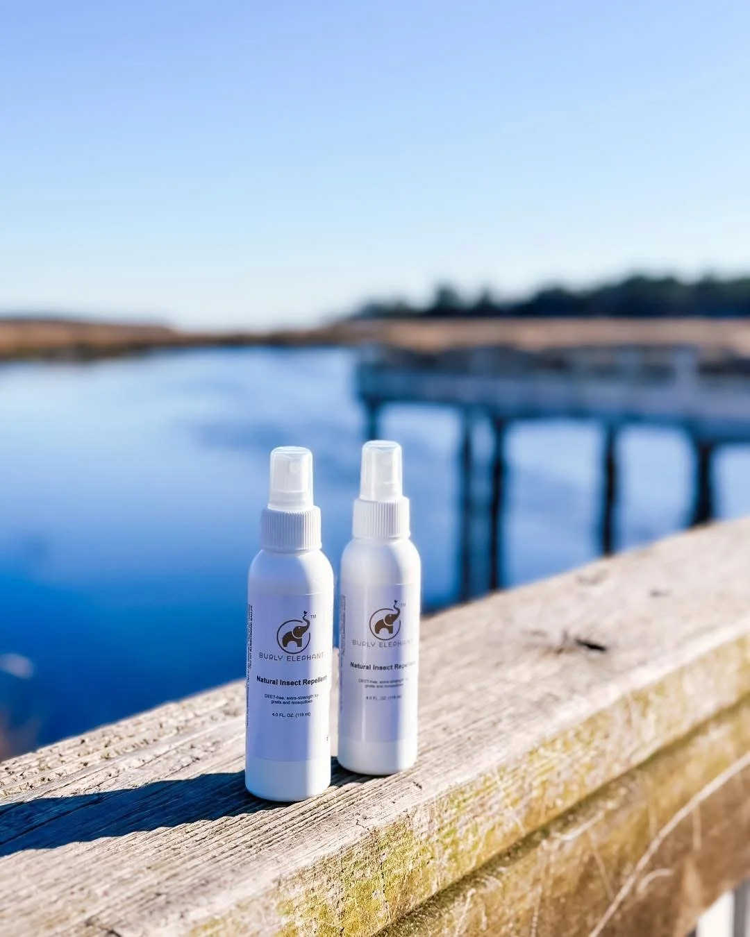 Sand Gnat Season in Coastal Georgia