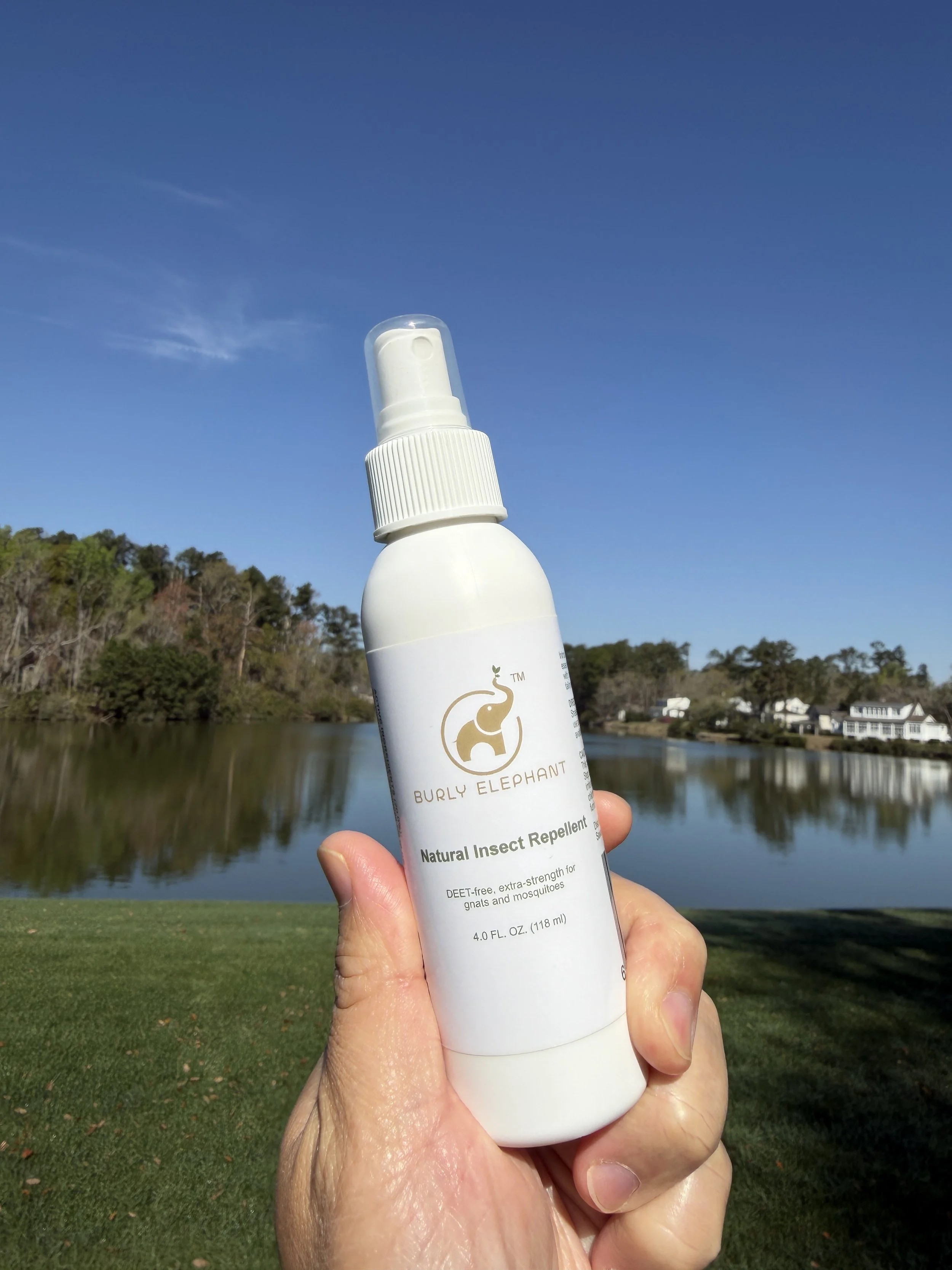 How to Stop Sand Gnat Bites (Savannah &amp; Coastal Georgia Guide)