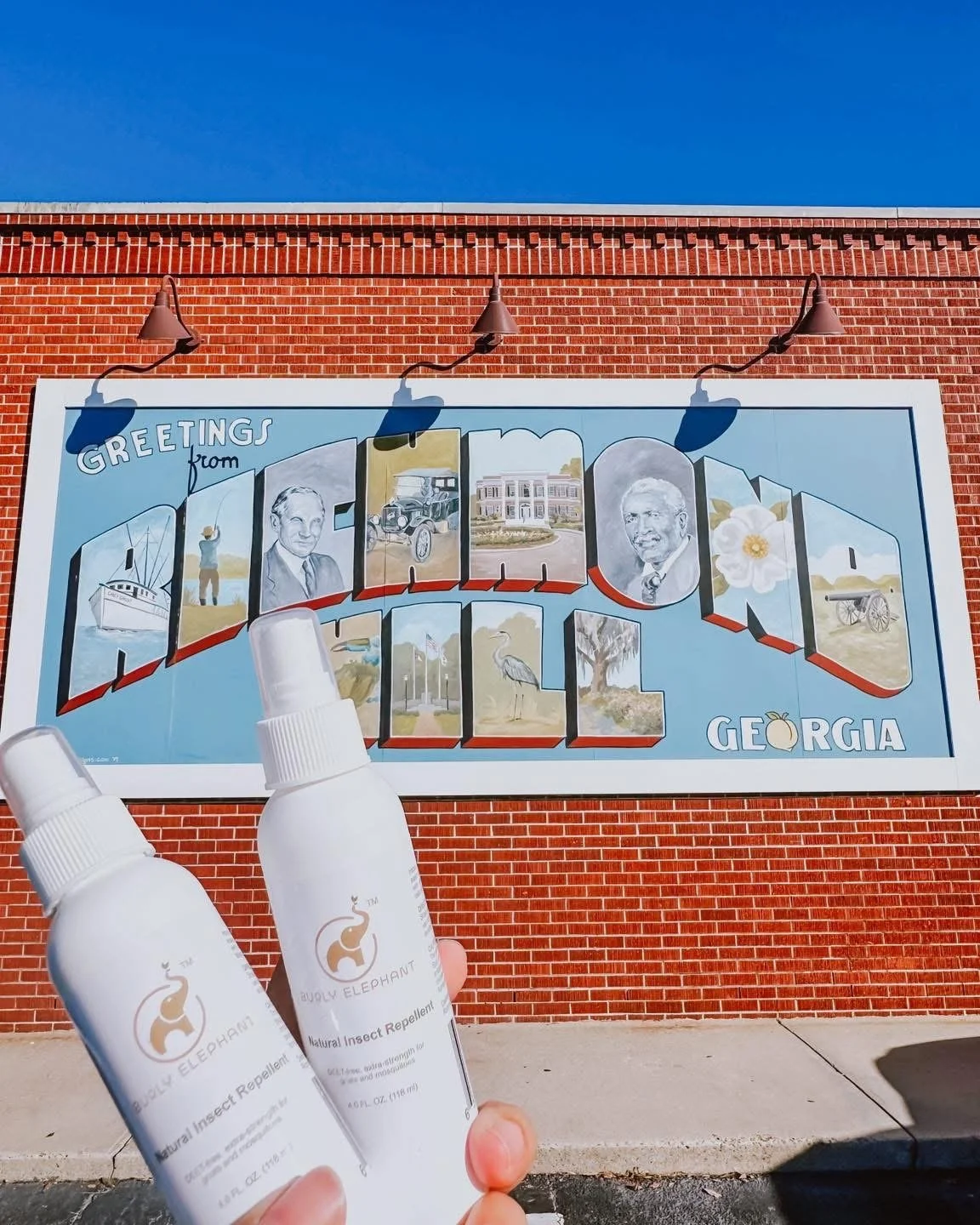 Lowcountry Spring &amp; Sand Gnats — Thank You