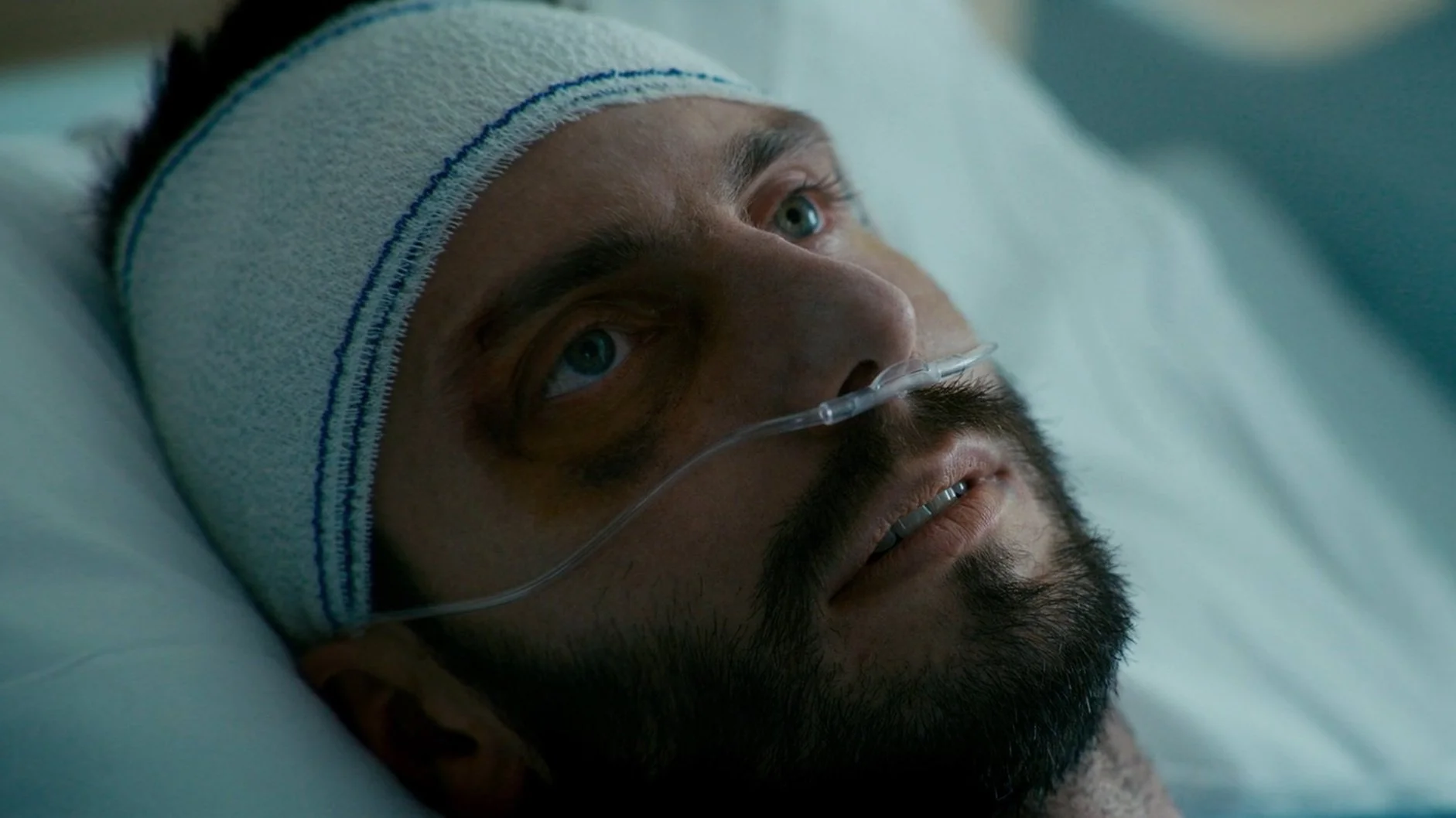 Image 2024-12-18 150200_1.1.6.jpg