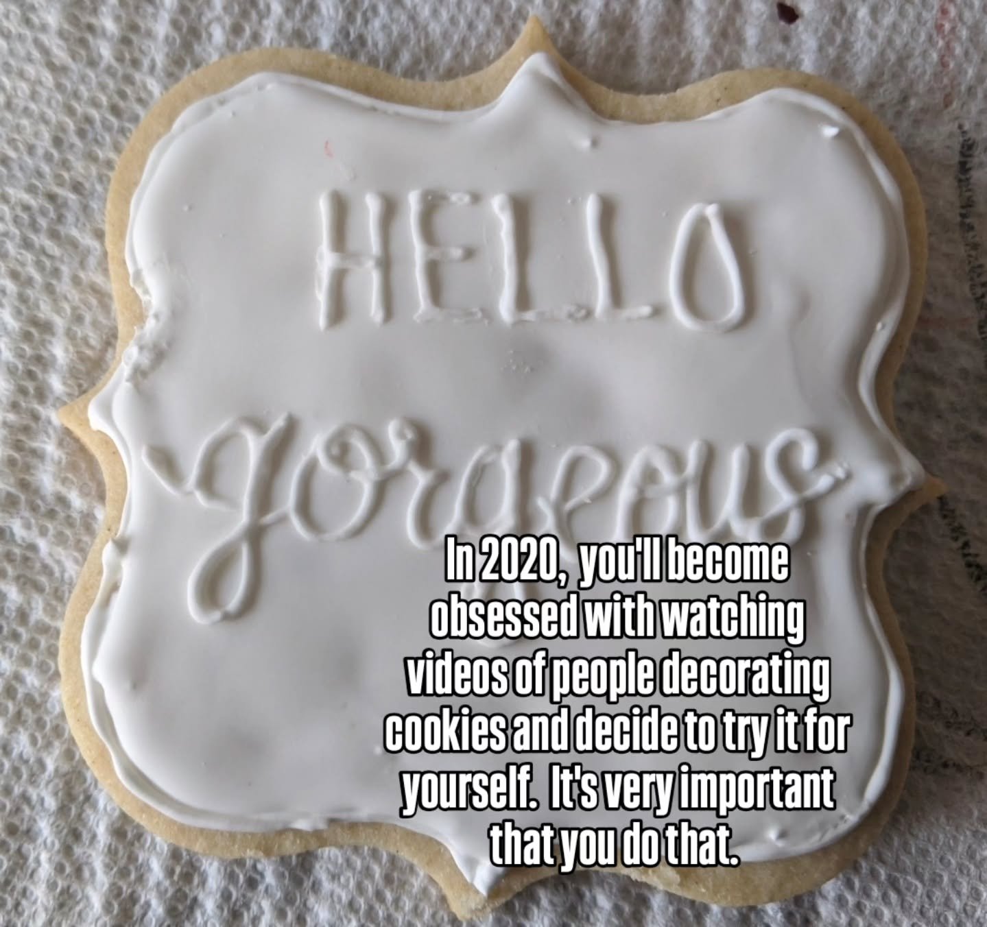 Happy National Cookie Day! 

It's very important you decorate that first cookie. It won't be great. It'll be far from perfect, but you'll turn cookies into a side hustle that will turn full time. 

I'm feeling all the feels right now. Thank you so mu