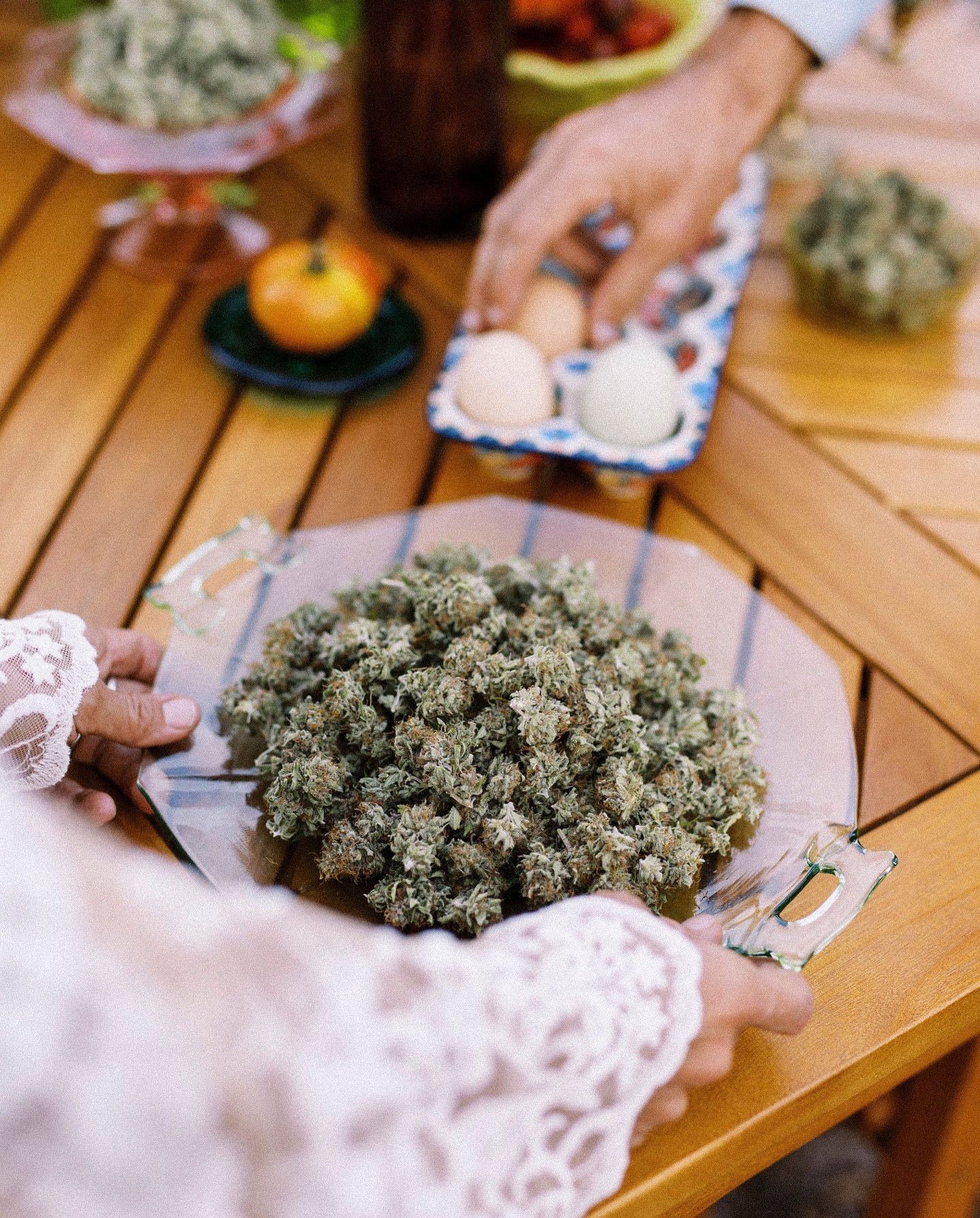 What do you think, Delaware, are you team Banana or team Triploid?