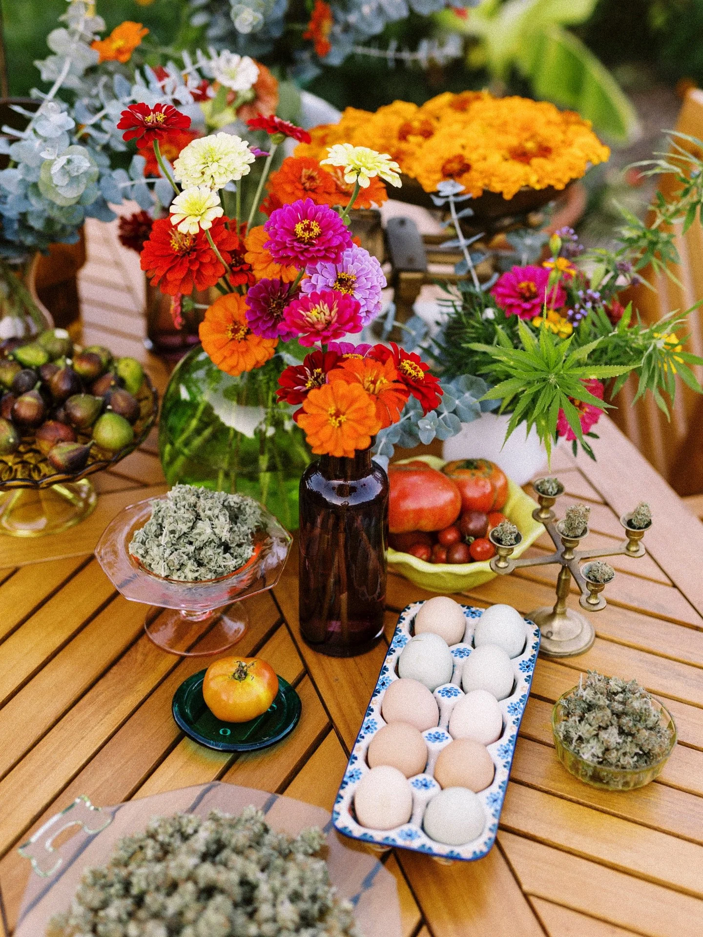 Exciting news! We are excited to be working with @bestbudsdispensary, which just got the most recent batch of Forest Flower at its Dover and Georgetown locations!

You&rsquo;ve got four cultivars to choose from - Emerald Fire, Humboldt Dream, Pineapp