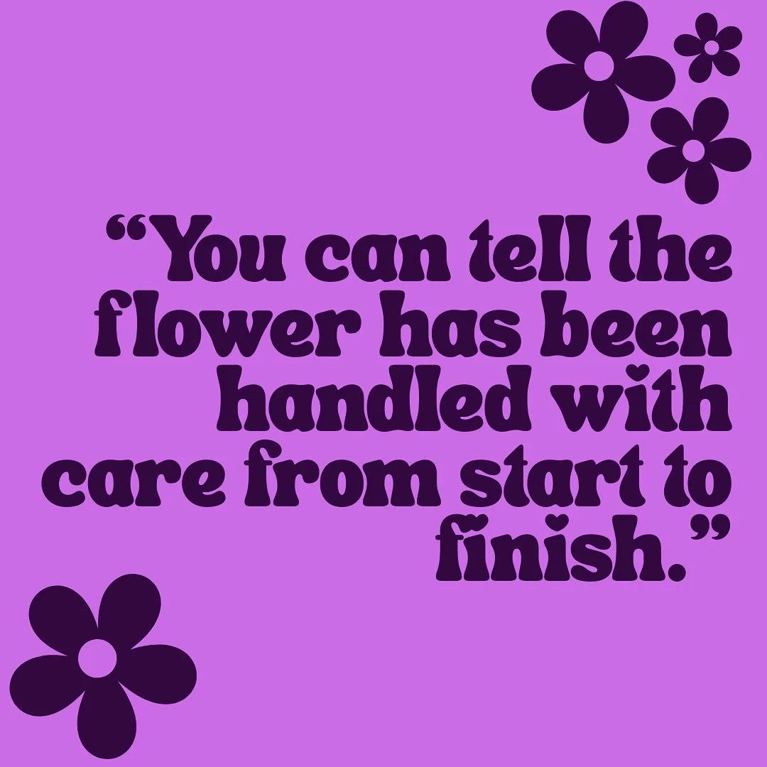 The highest of compliments. A customer shares their experience with Pawpaw Express:

&ldquo;As a medical patient suffering from spine &amp; nerve issues the Paw Paw Express strain gave me the relief I&rsquo;ve been searching for. My nose picks up not