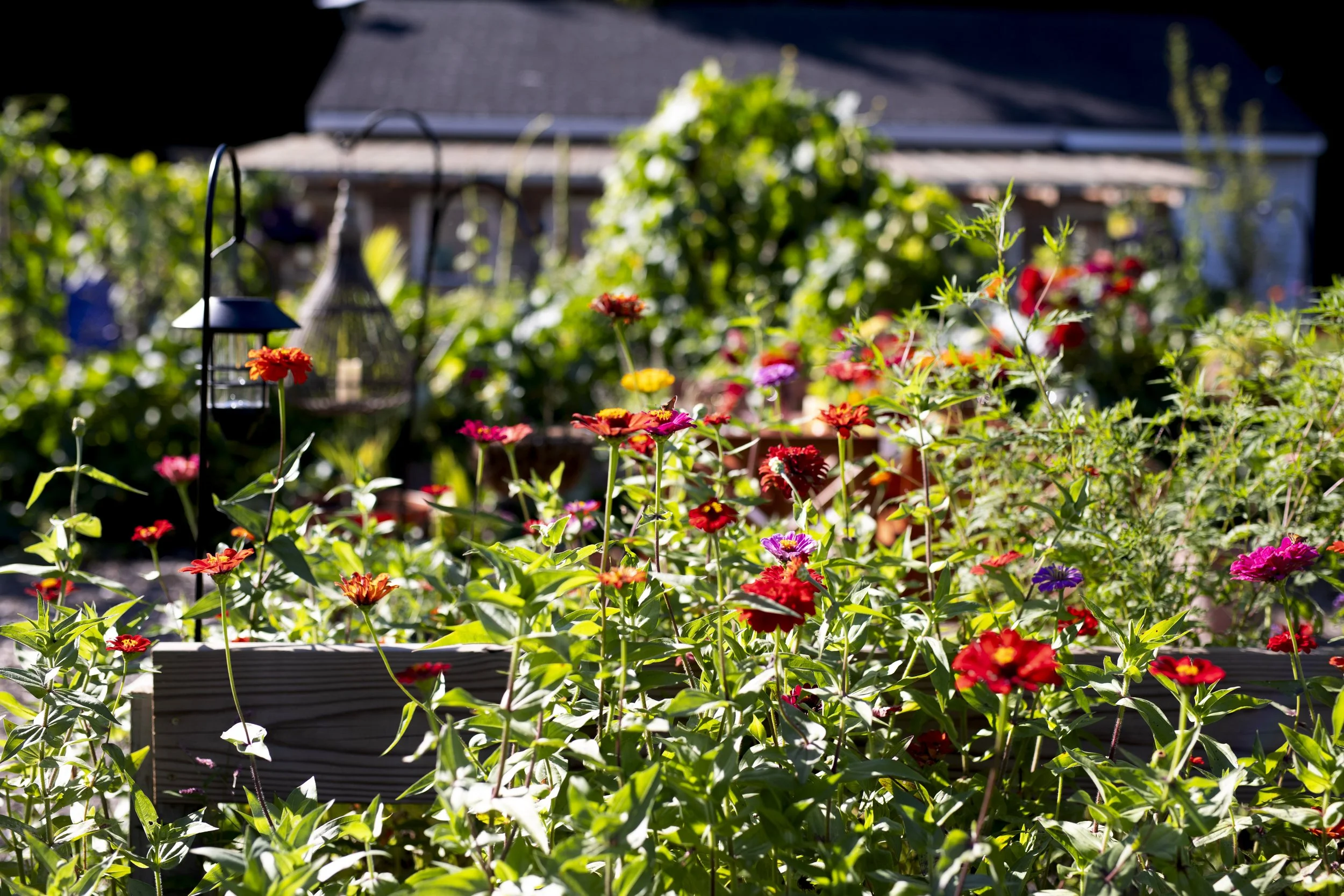 ForestFlowerFarmFinals-101.jpg