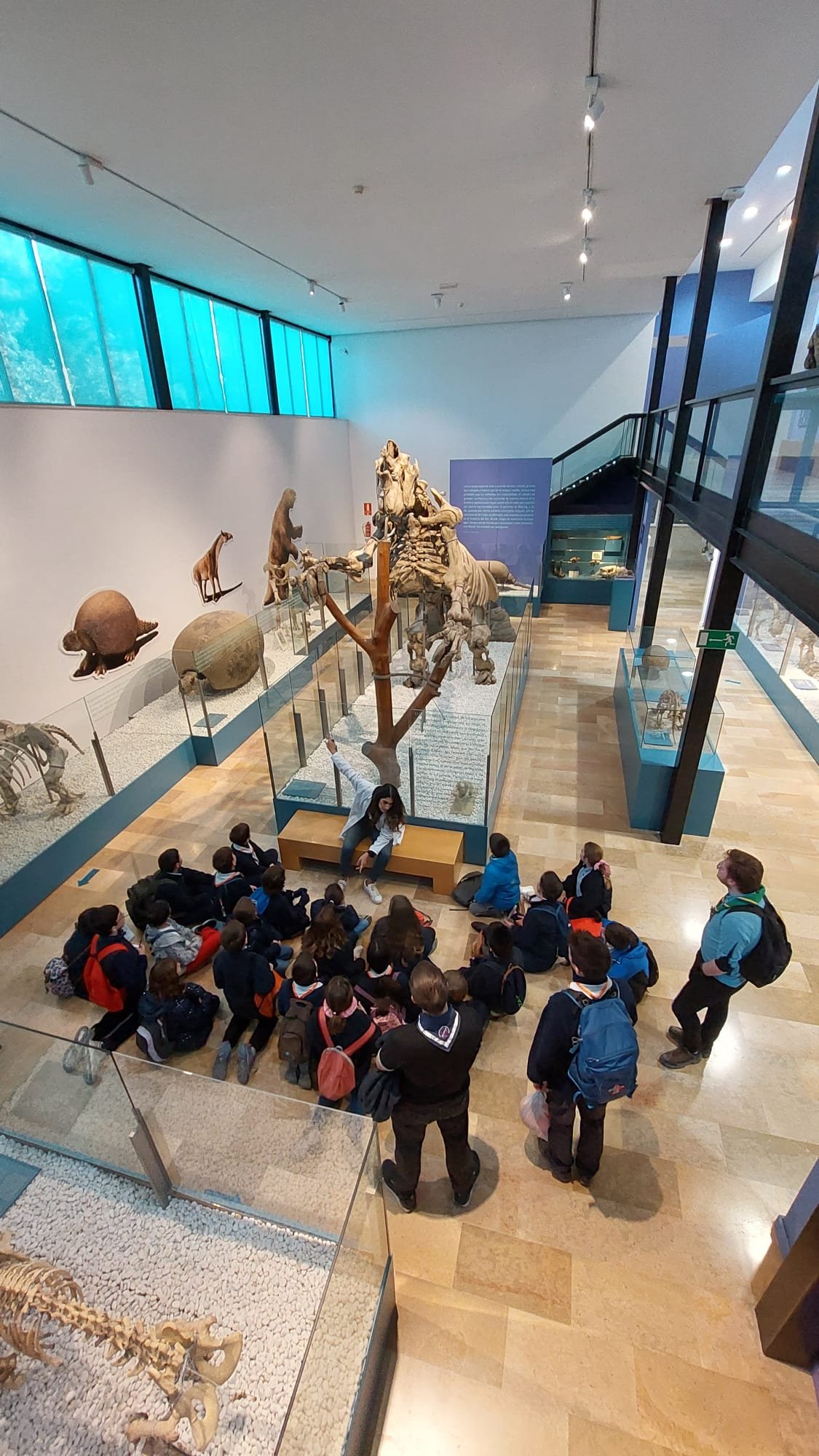 museo_ciencias_naturales.jpeg