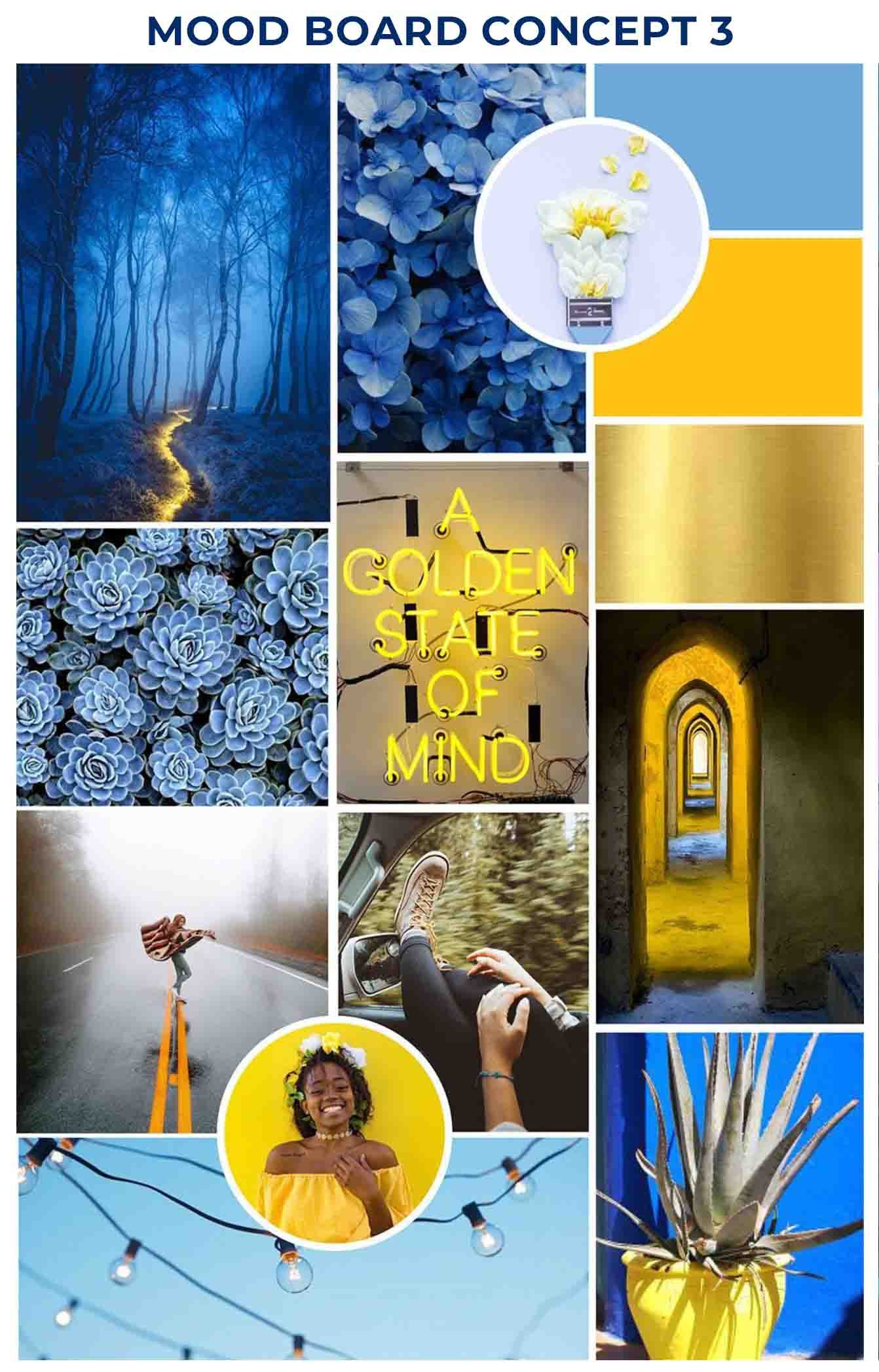 DezLin Mood Board 3.jpg