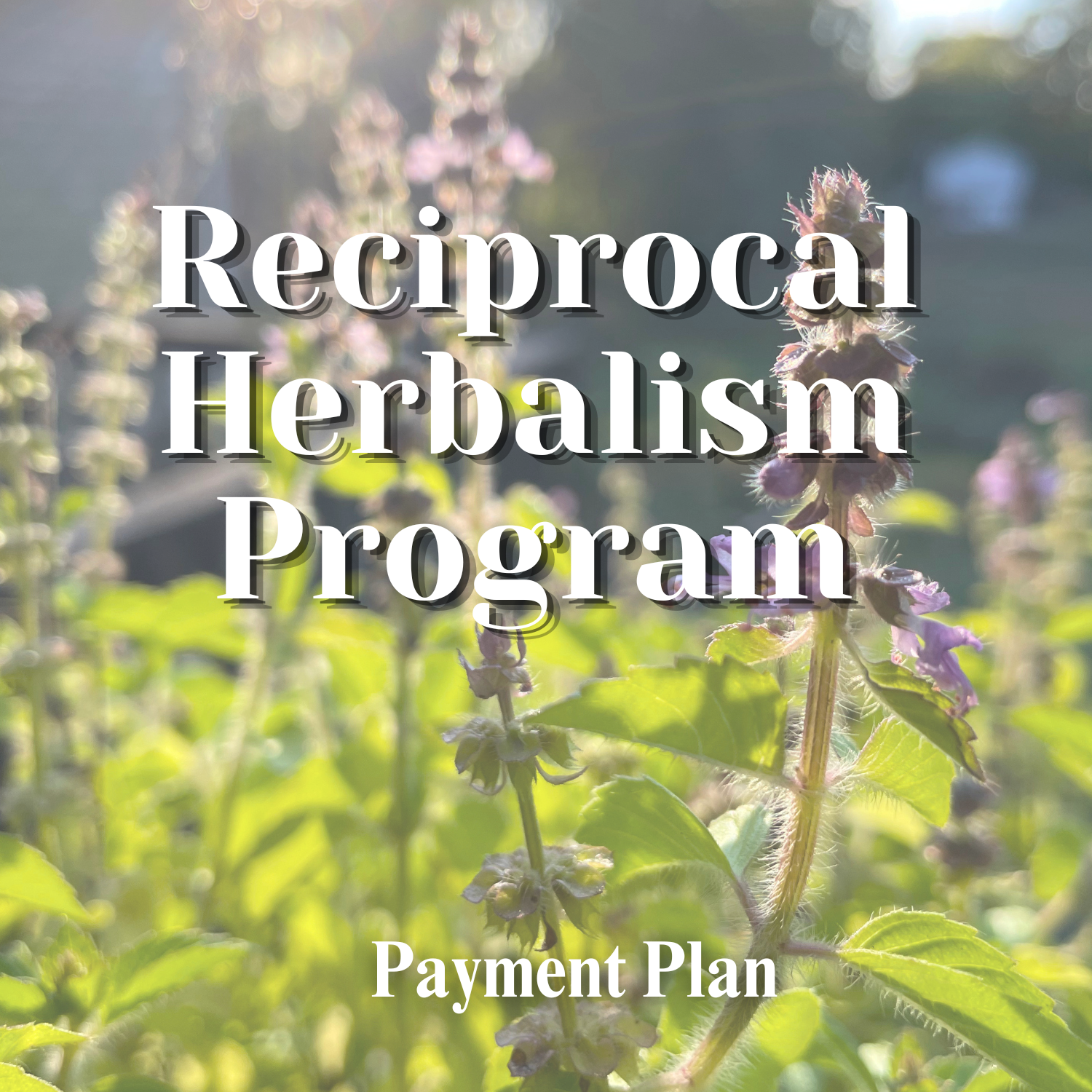 Reciprocal Herbalism Program- Payment Plan