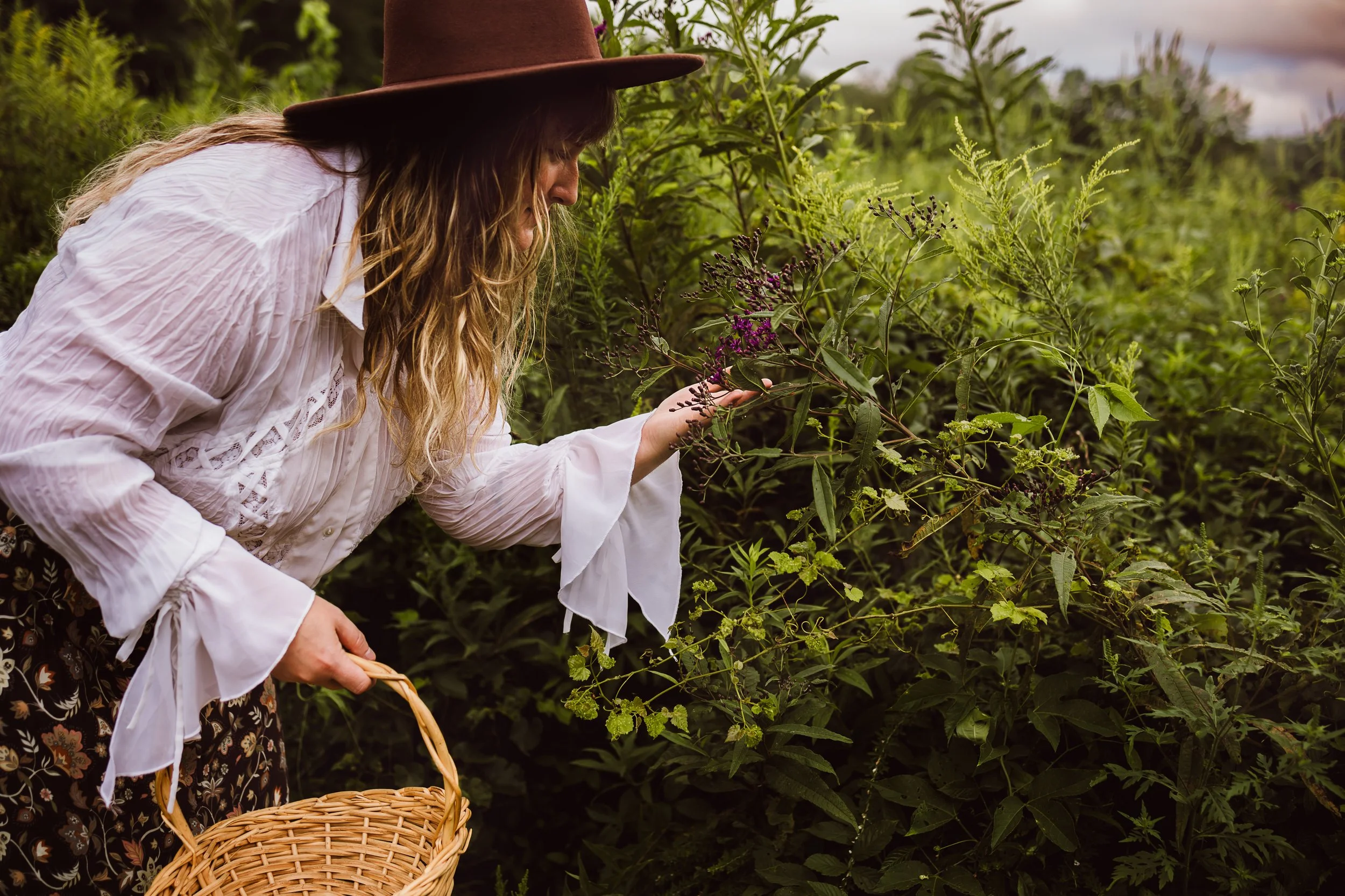 A woman wearing a white blouse and a brown hat harvesting purple flowering plants in a green garden, holding a wicker basket.