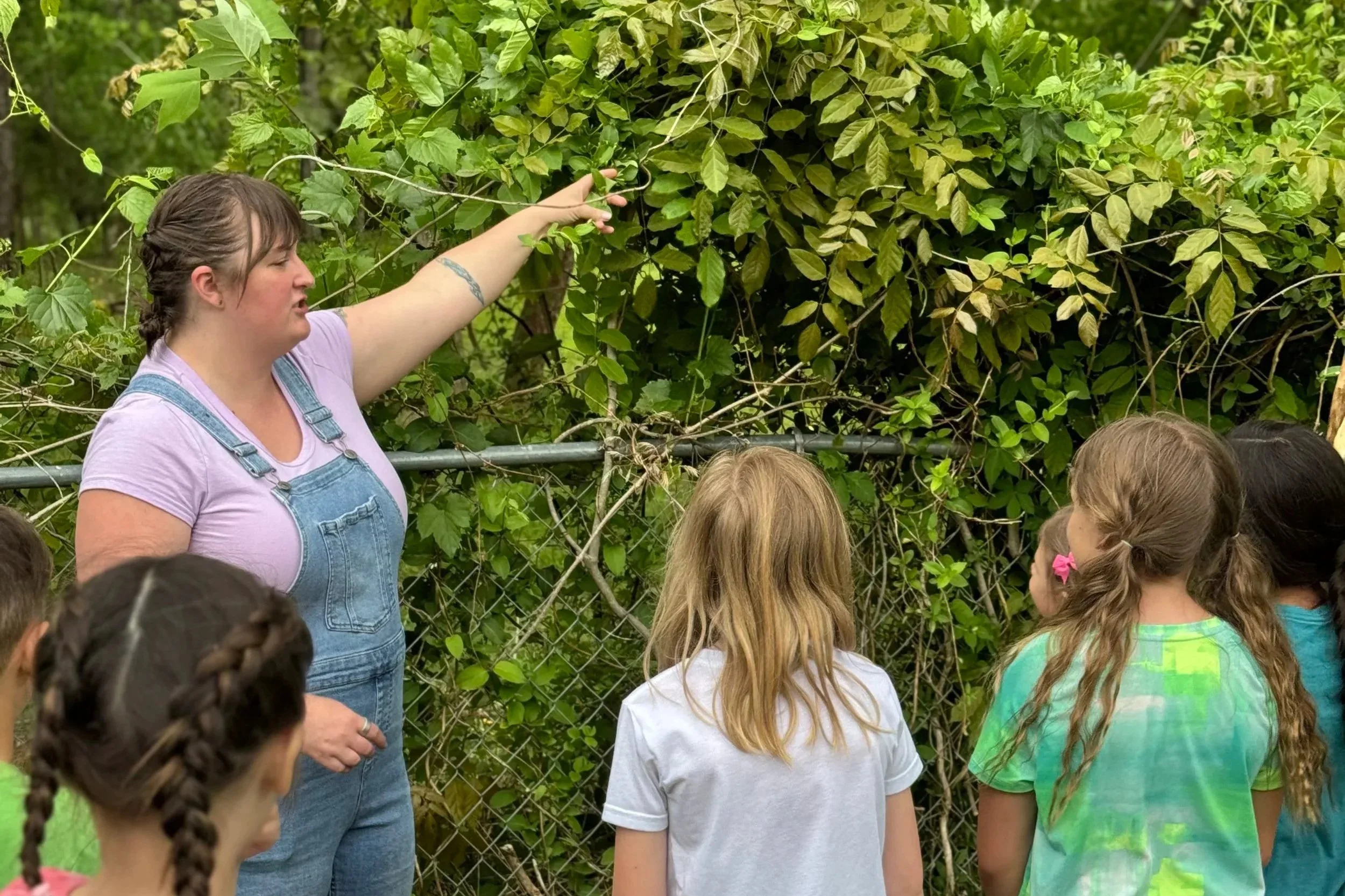 A woman explaining plants to a group of children outdoors, with green foliage in the background.