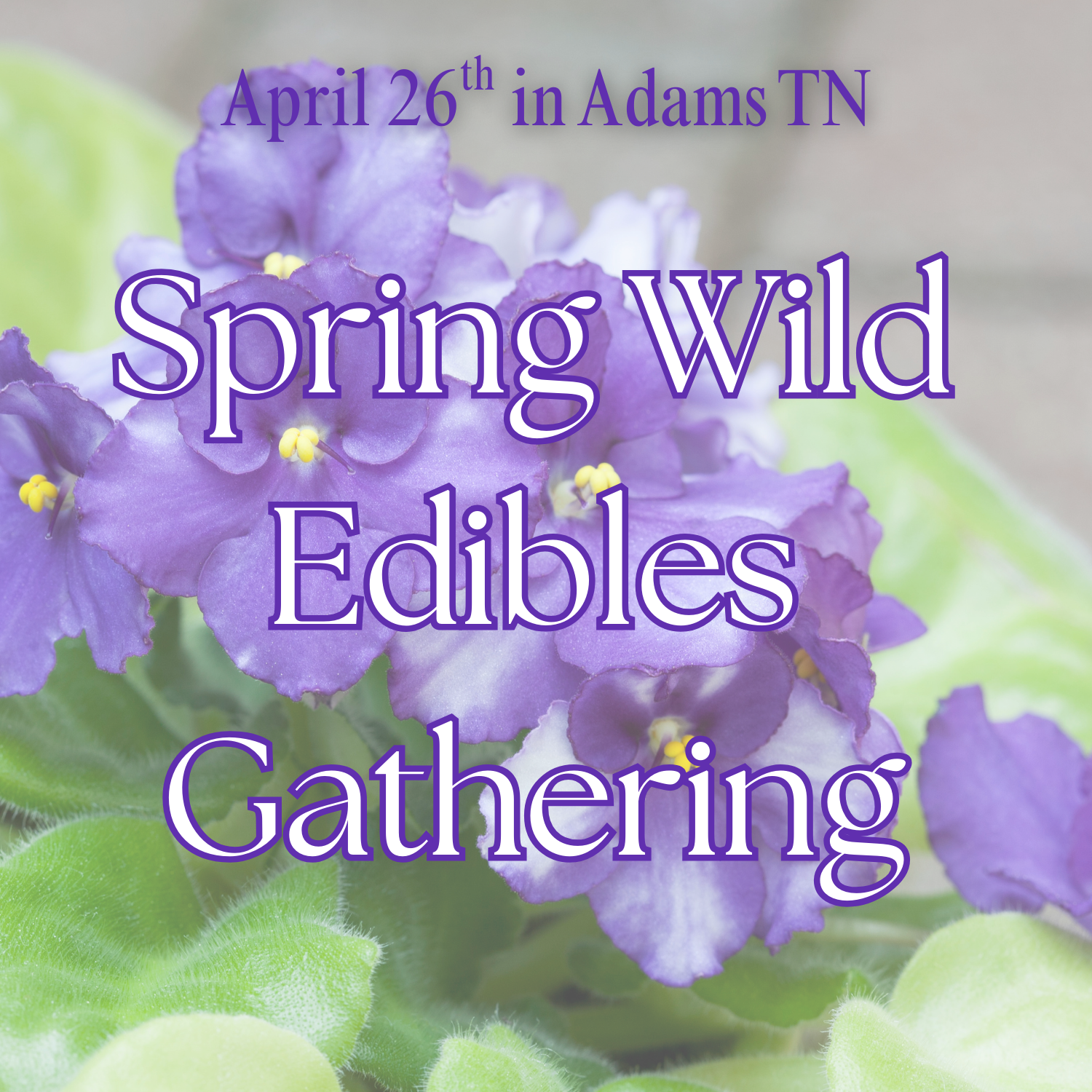 Spring Wild Edibles Gathering : Food as Medicine in the Wild