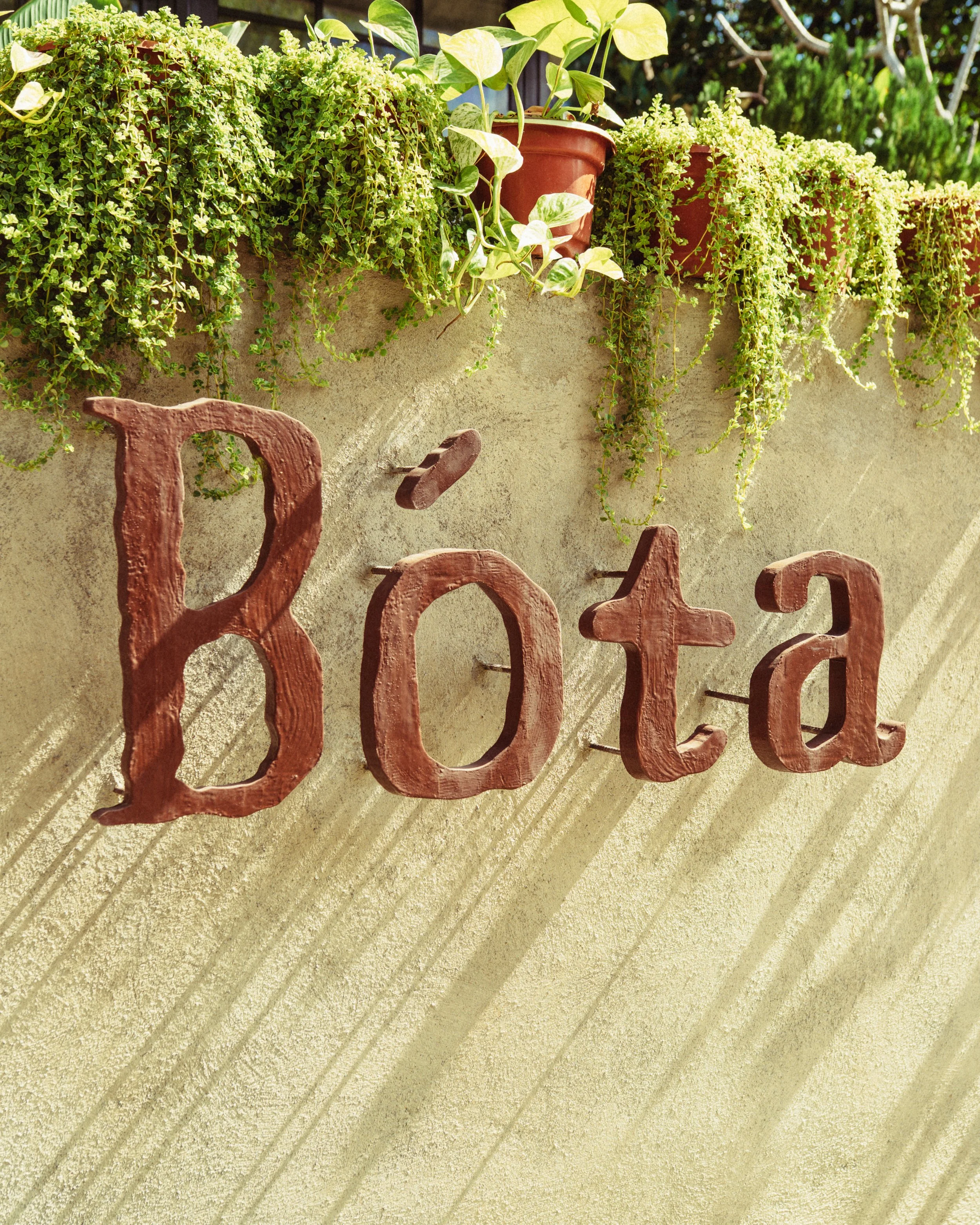 The Bota Project