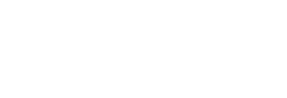 Lemon boutique Agency