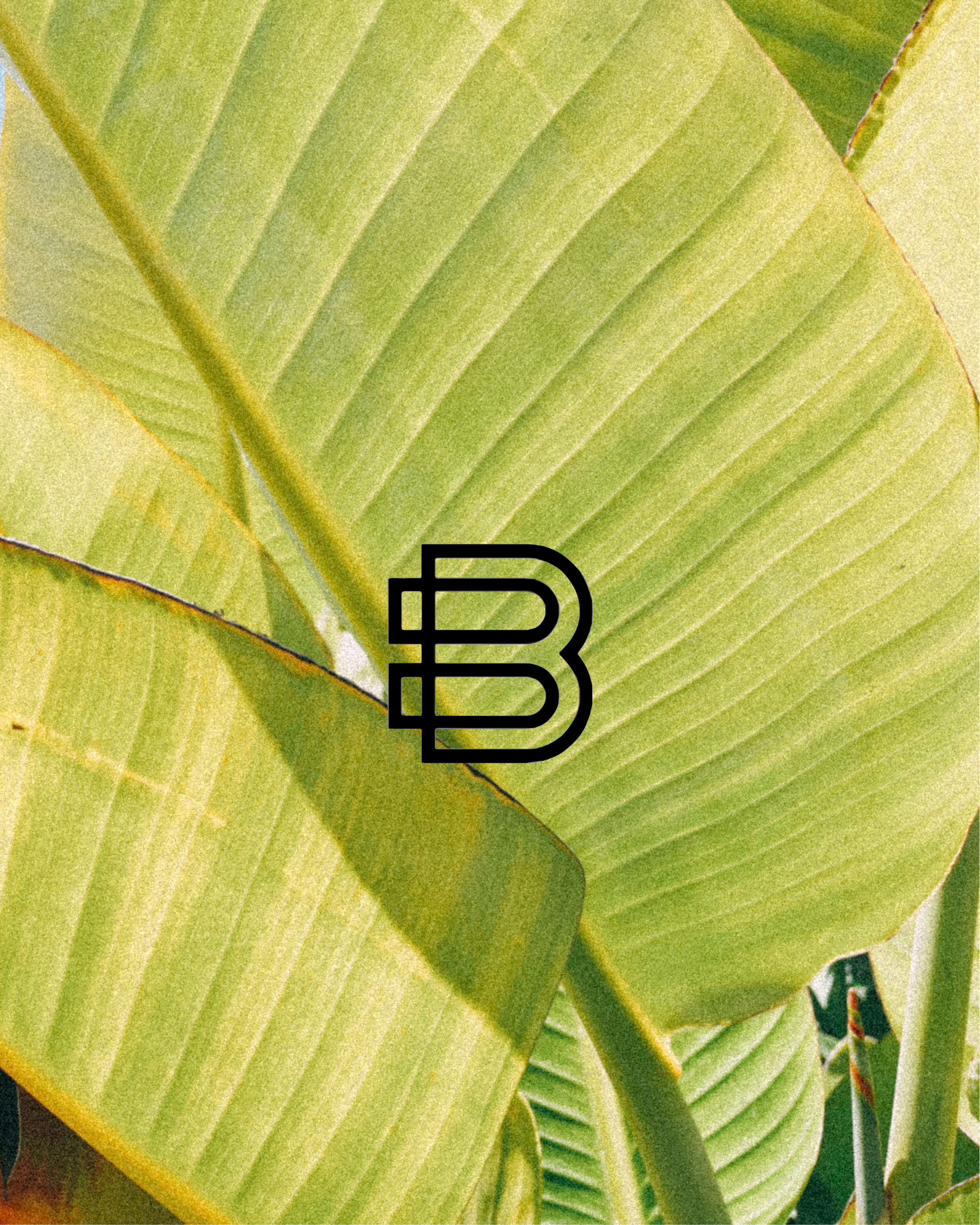 42.png