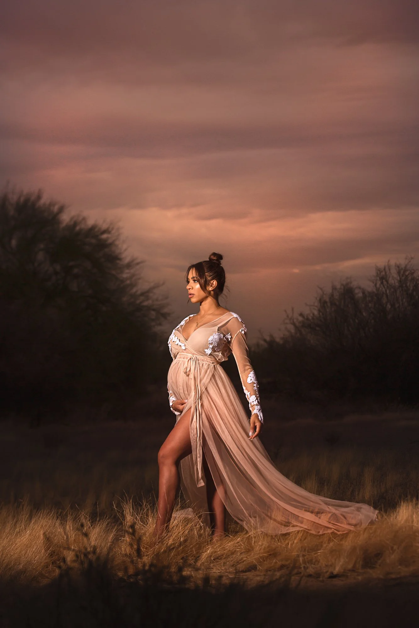 Pregnant woman in a sheer gown standing in a field at sunset.
